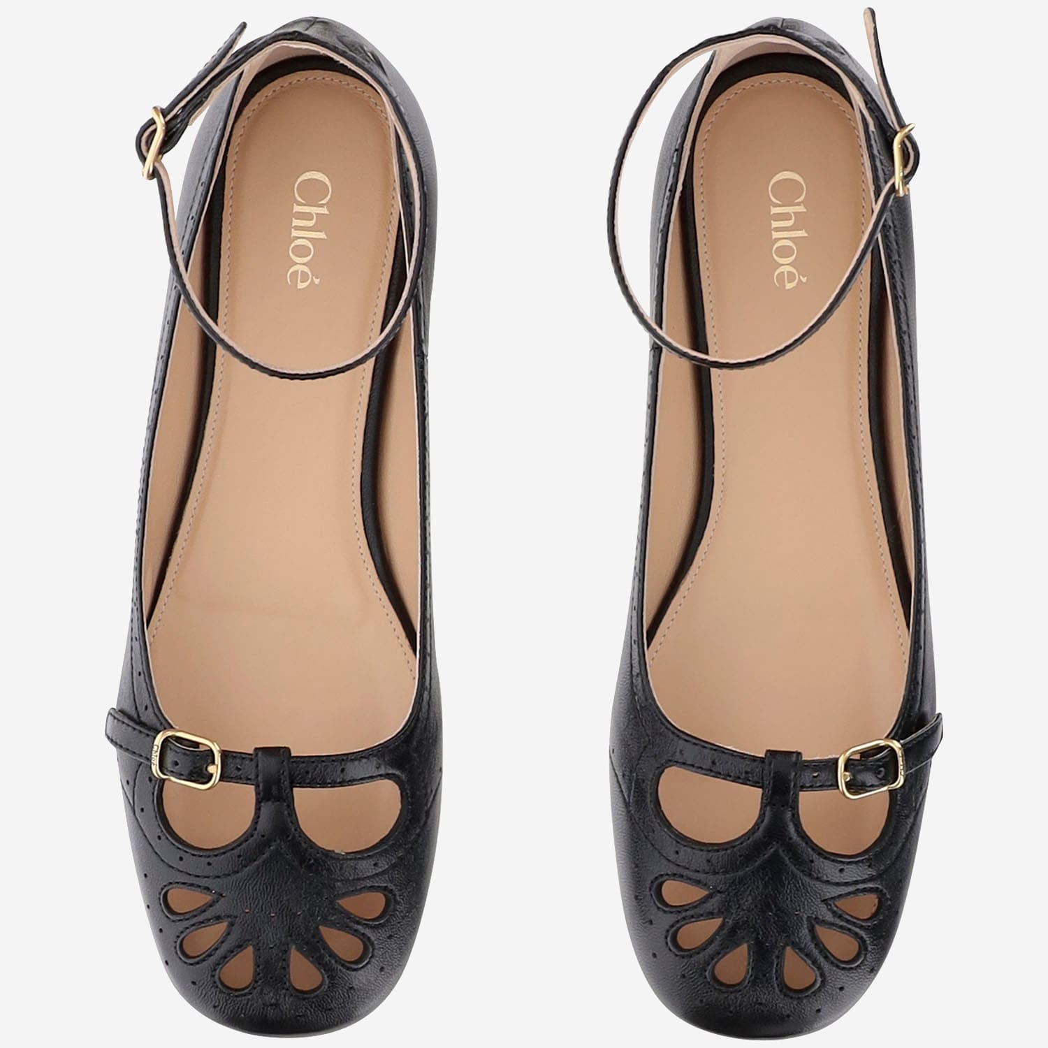 Chloé Misty Laser-cut Leather Ballet Flats In Black