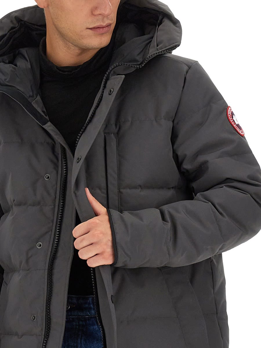 Shop Canada Goose Parka Carson In Grey