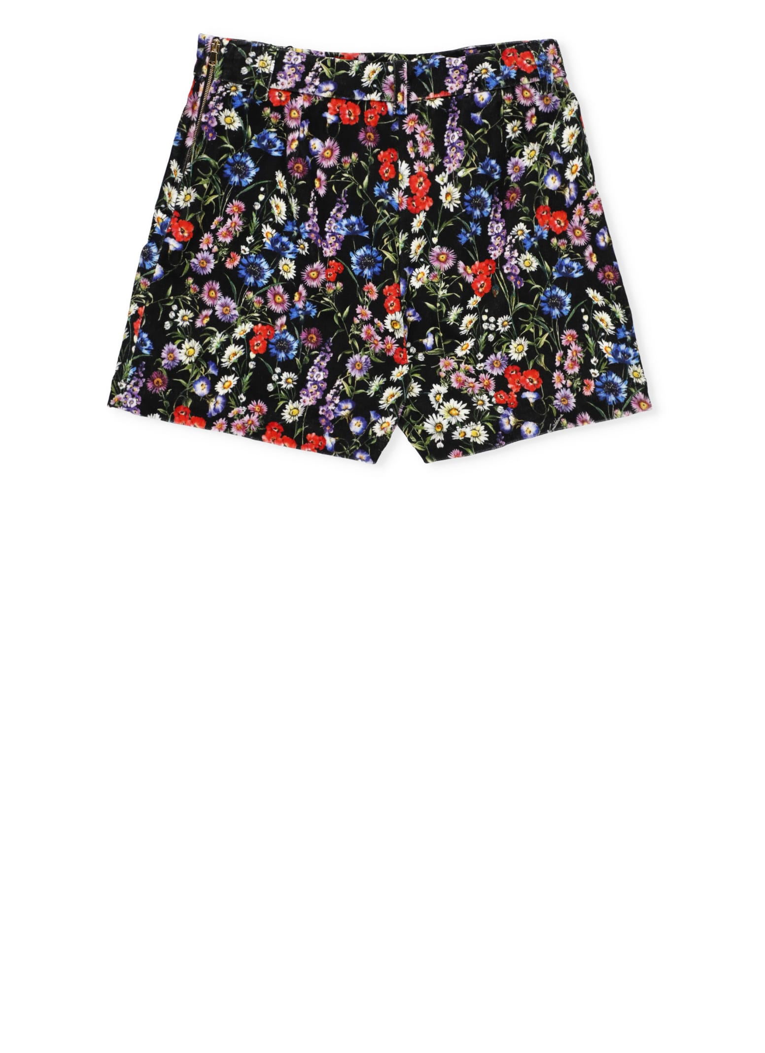 Shop Dolce & Gabbana Velvet Shorts In Multicolour