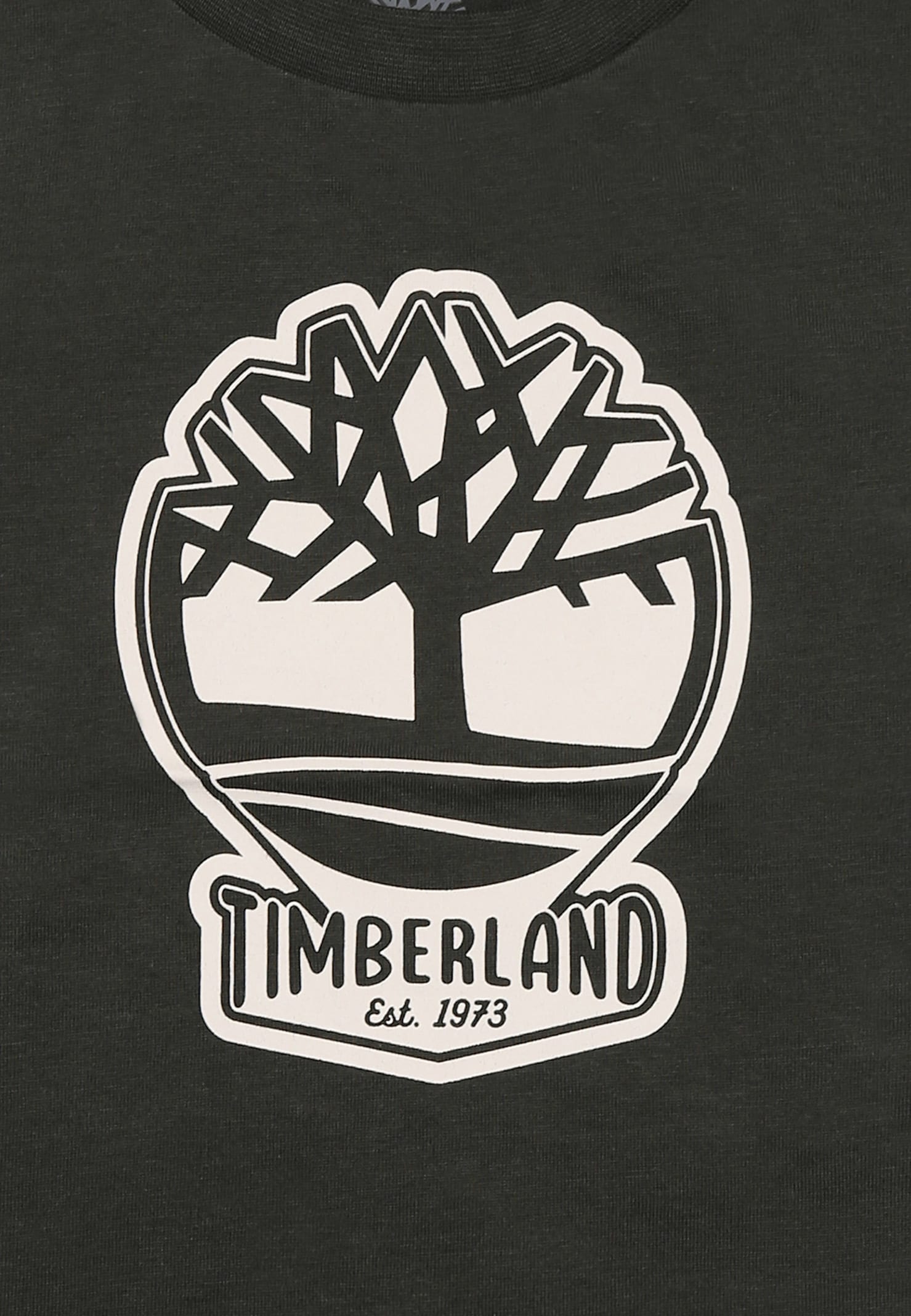 Timberland Green T-shirt For Baby Boy With Tree