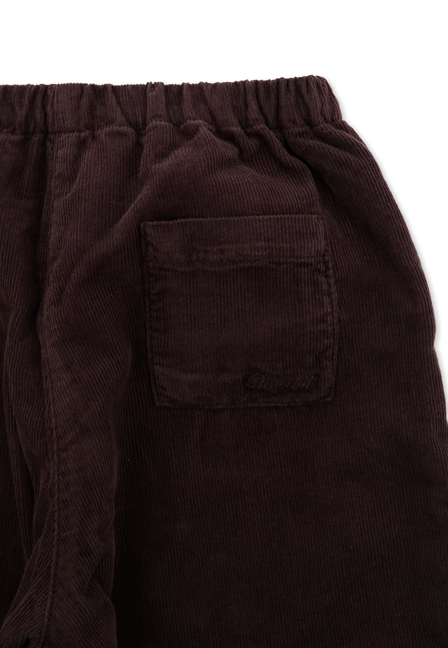 Bonpoint Brown Trousers For Baby Boy With Logo In Brown