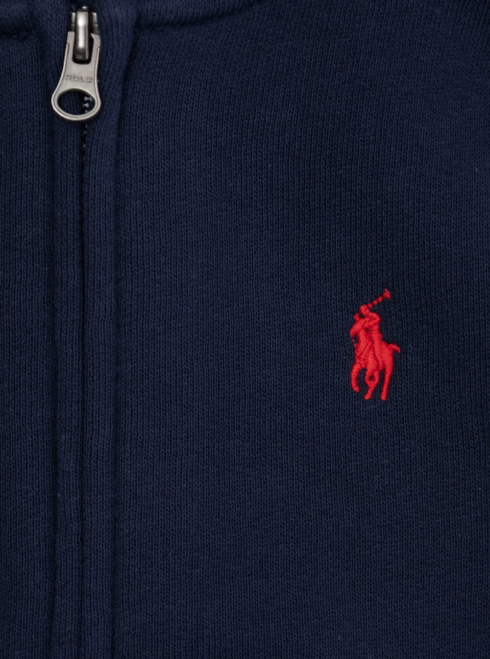 Polo Ralph Lauren Blue Sweatshirt With Fixed Hood And Pony Embroidery On The Front In Cotton Blend Baby In Blue