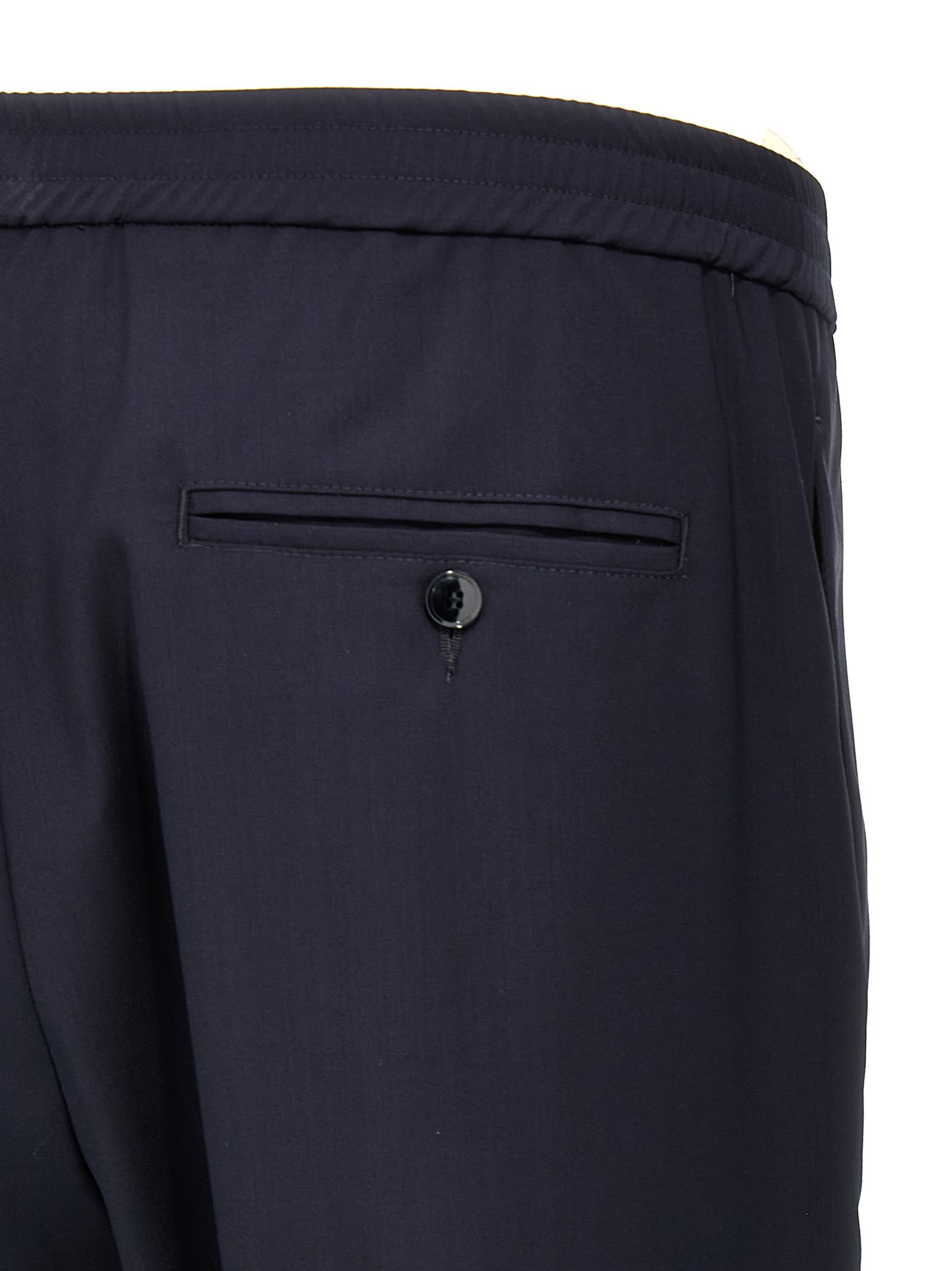 Shop Barena Venezia Riobarbo Tropical Pants In Blue