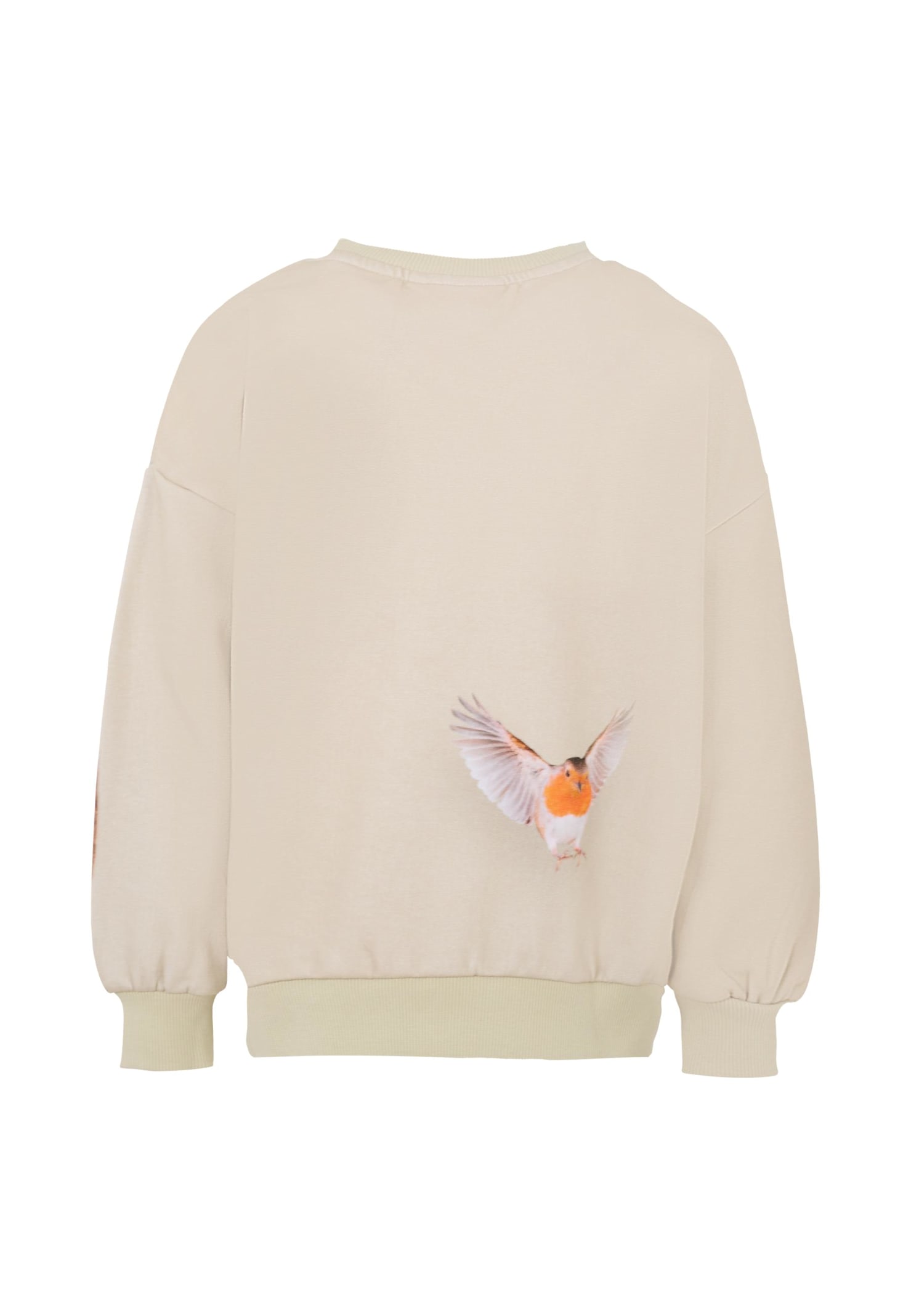 Molo Blue Sweatshirt For Boy With Flame In White