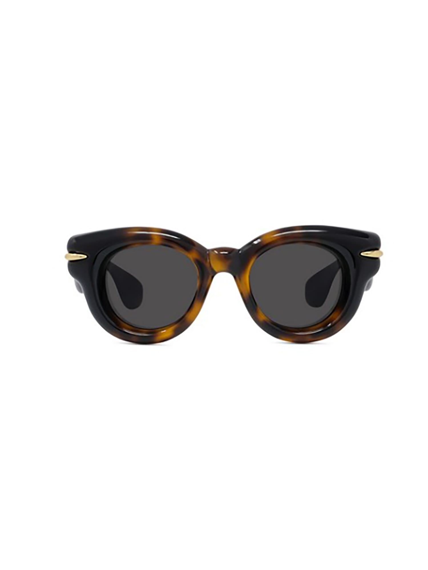 Shop Loewe Lw40118i Sunglasses In A