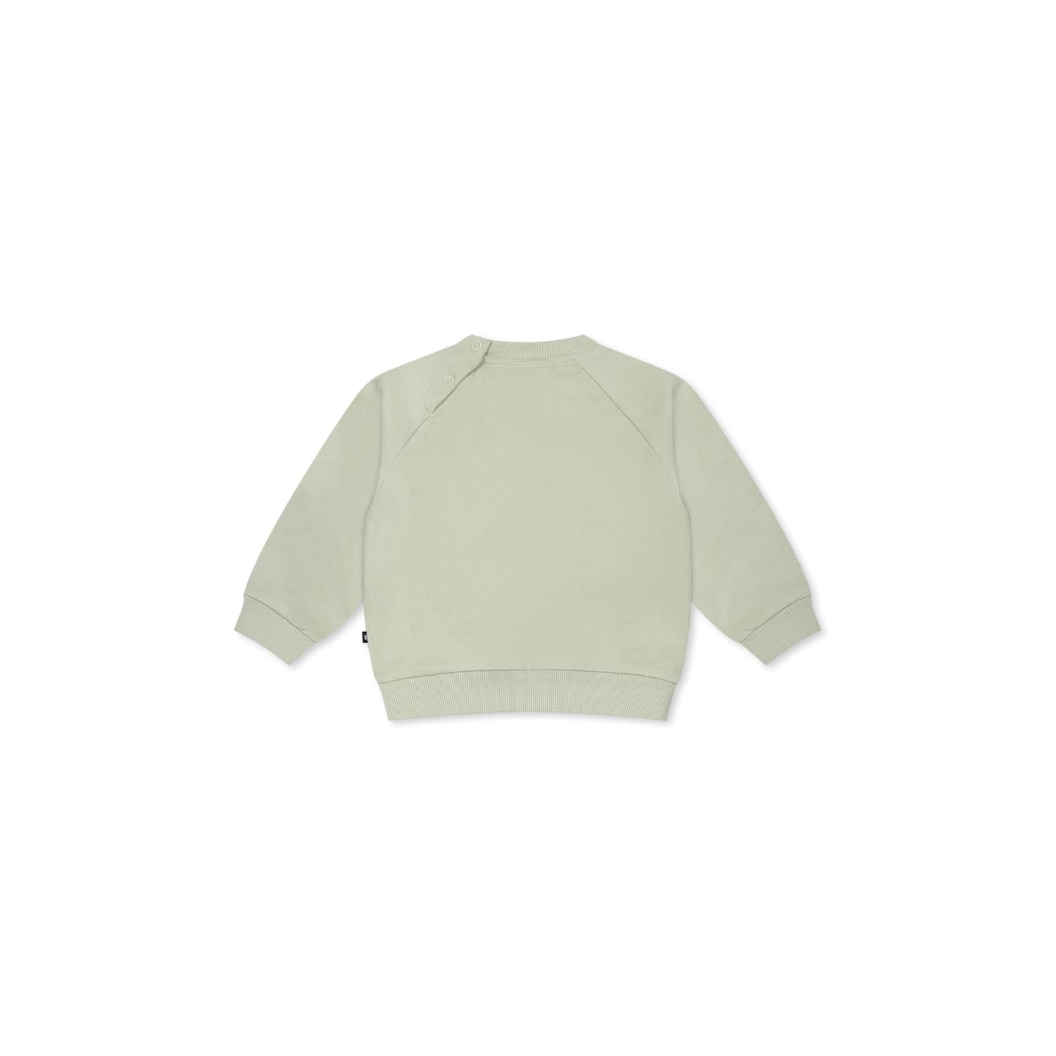 Molo Disc Sweatshirt In Green