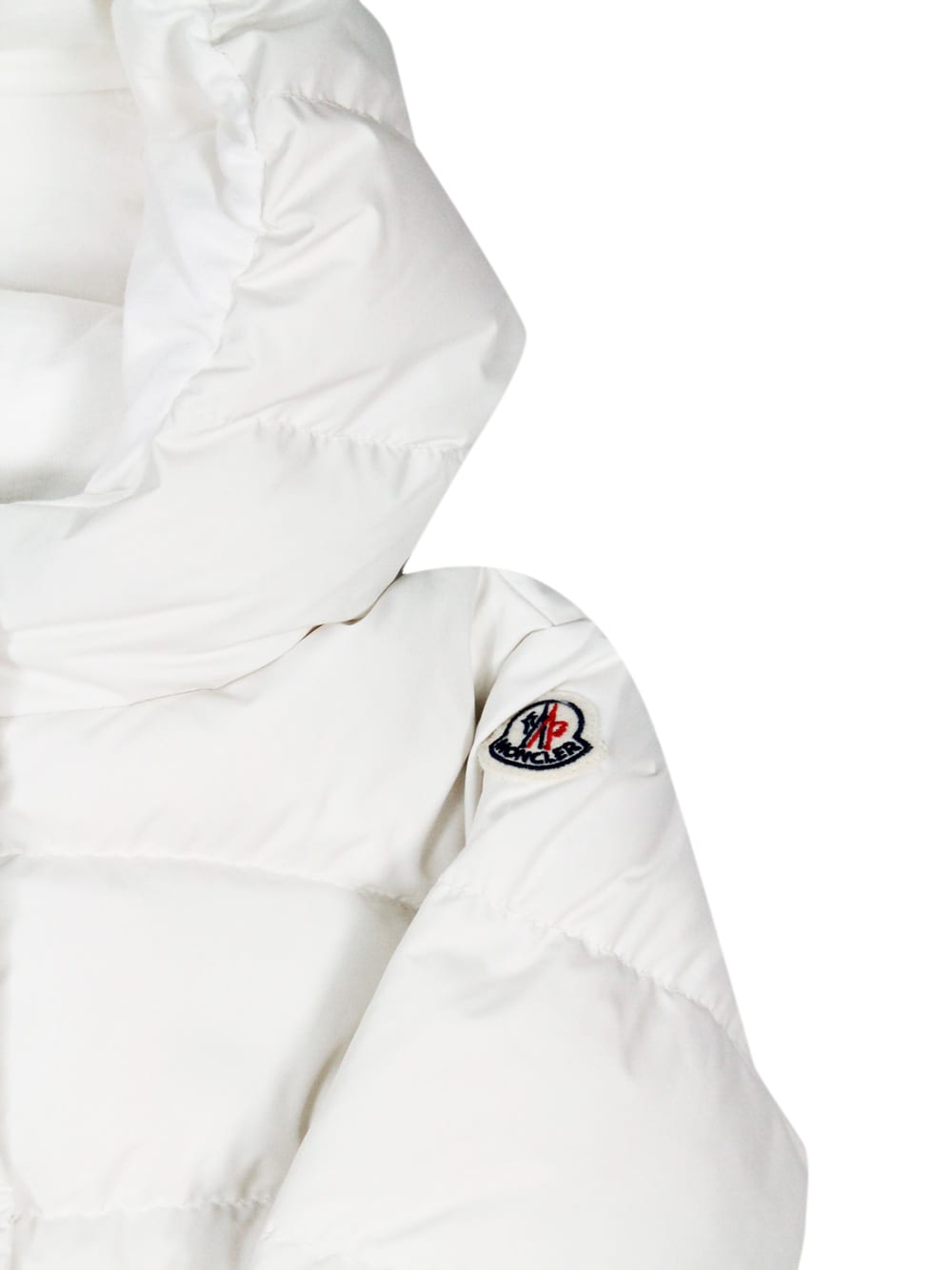Shop Moncler Ebre Down Jacket Padded With Real White Goose Down With Hood, Zip And Snap Button Closure And Front 