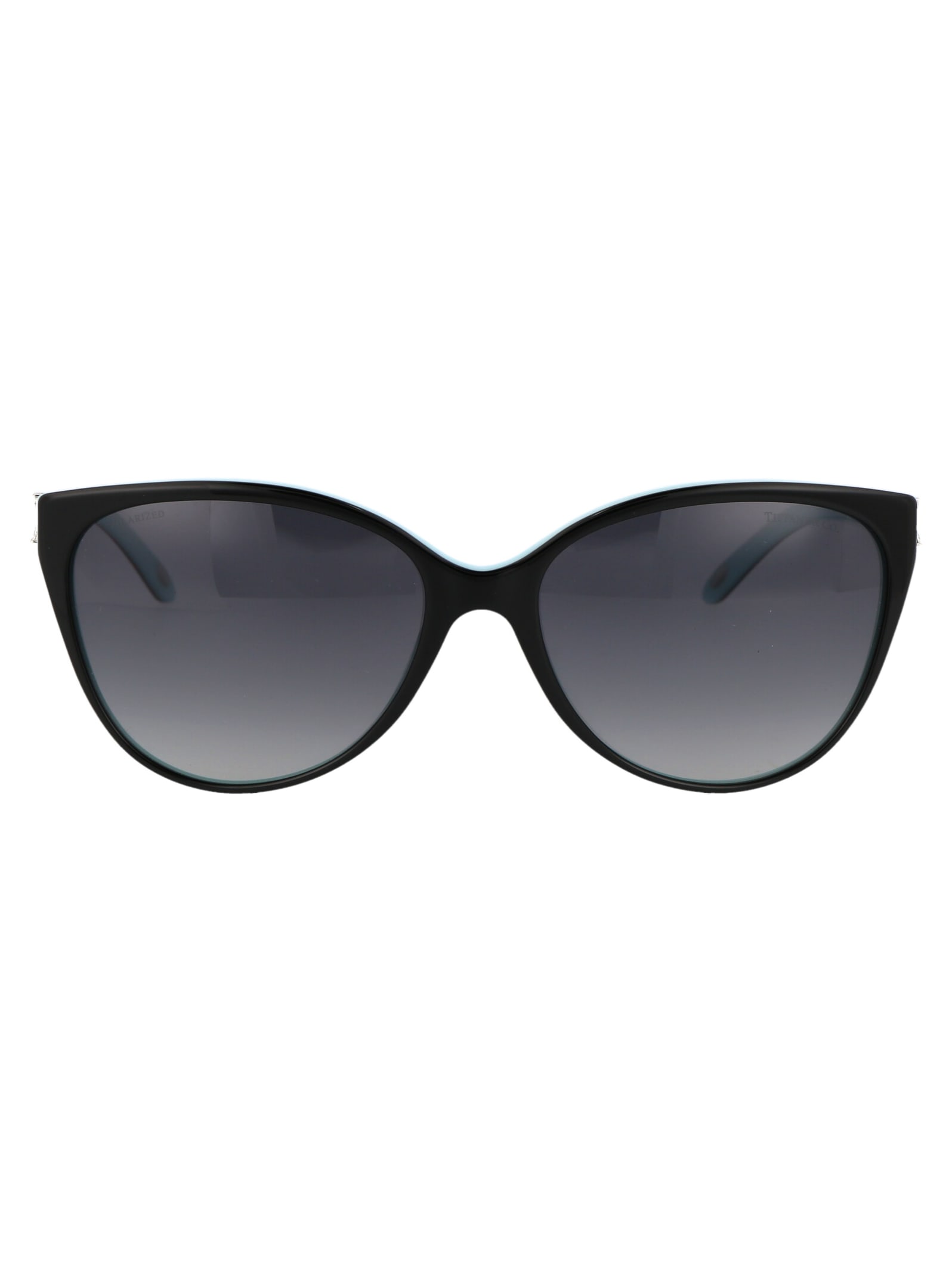 0tf4089b Sunglasses