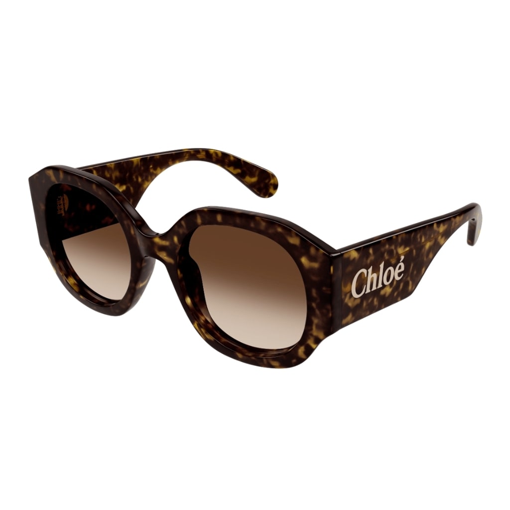 Shop Chloé Ch0234s 002 Sunglasses