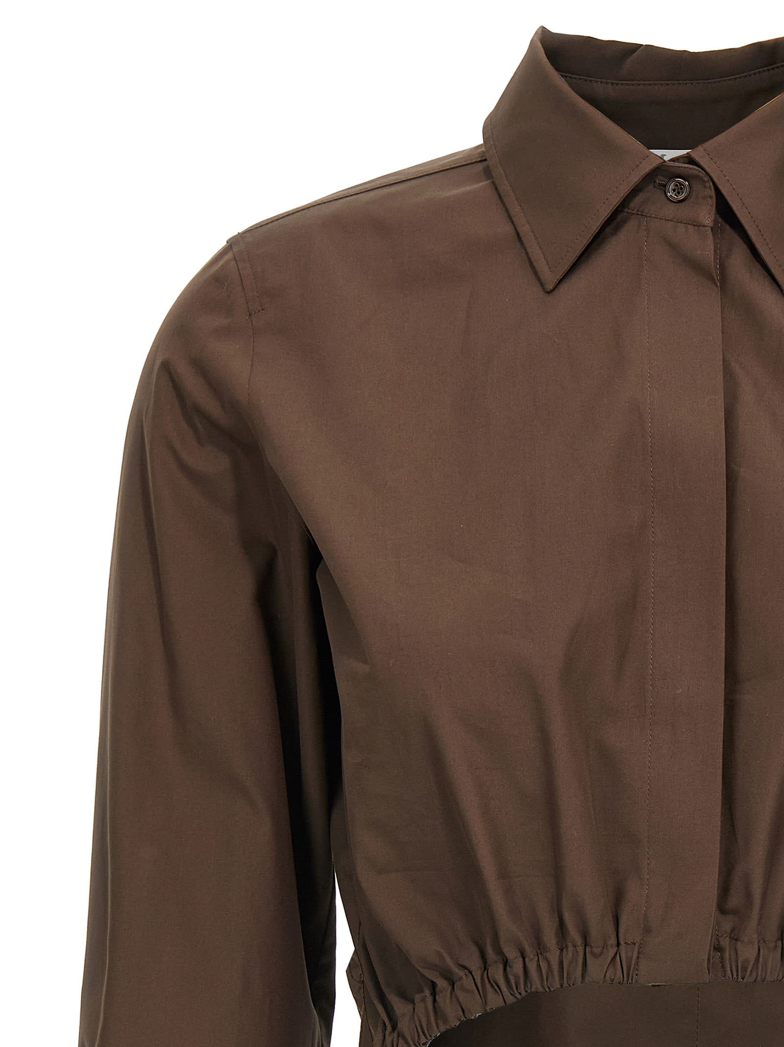 Max Mara Cropped Collared Shirt Elasticated Hem In Brown