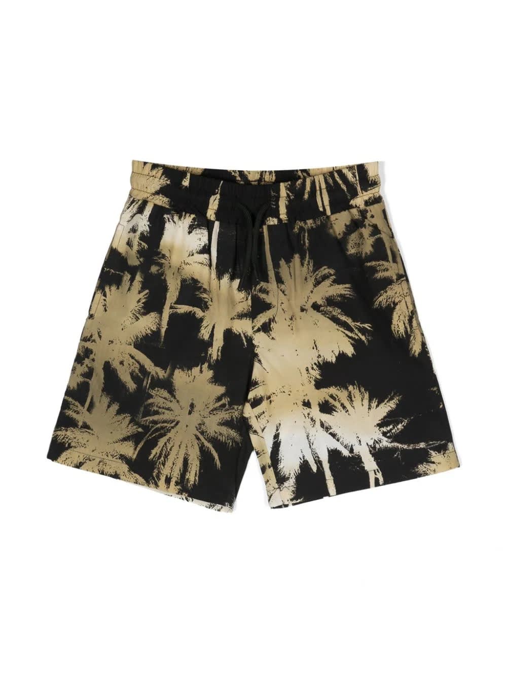 Shop Msgm Black Shorts With Palm Tree Print