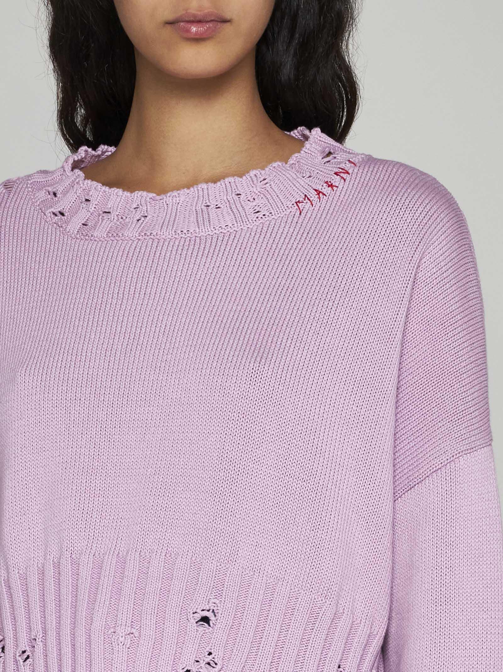 Shop Marni Cotton Cropped Sweater In Pink