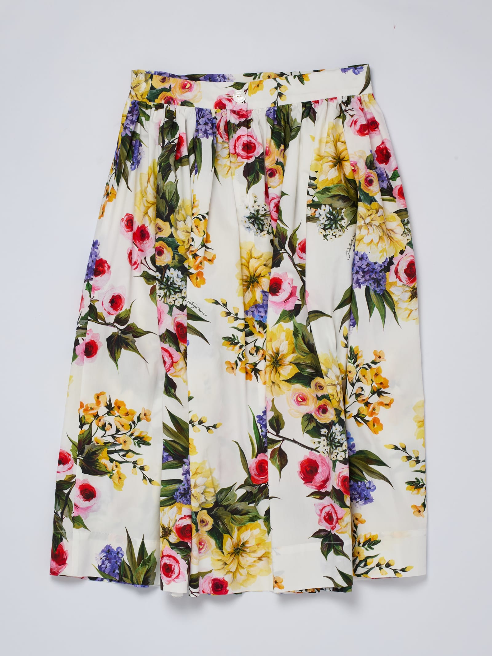 Shop Dolce & Gabbana Skirt Skirt In B.co-floreale