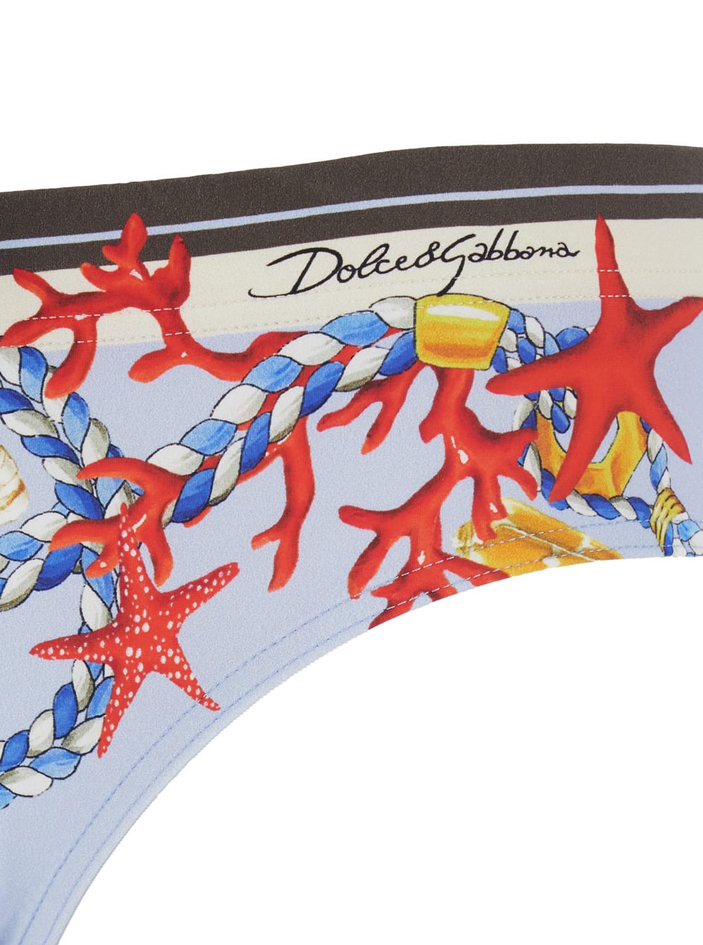 Dolce & Gabbana Slip Stampa Conchiglie In Multi