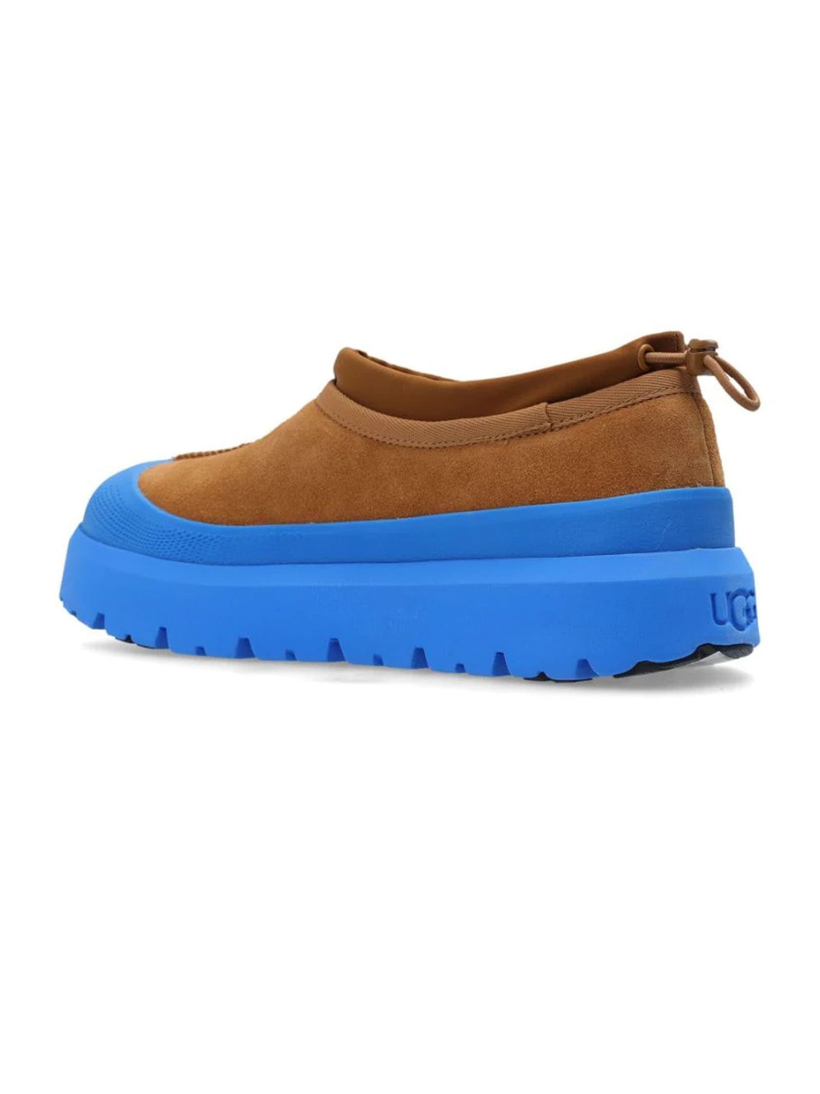 Shop Ugg Sneakers Blue In Chestnut