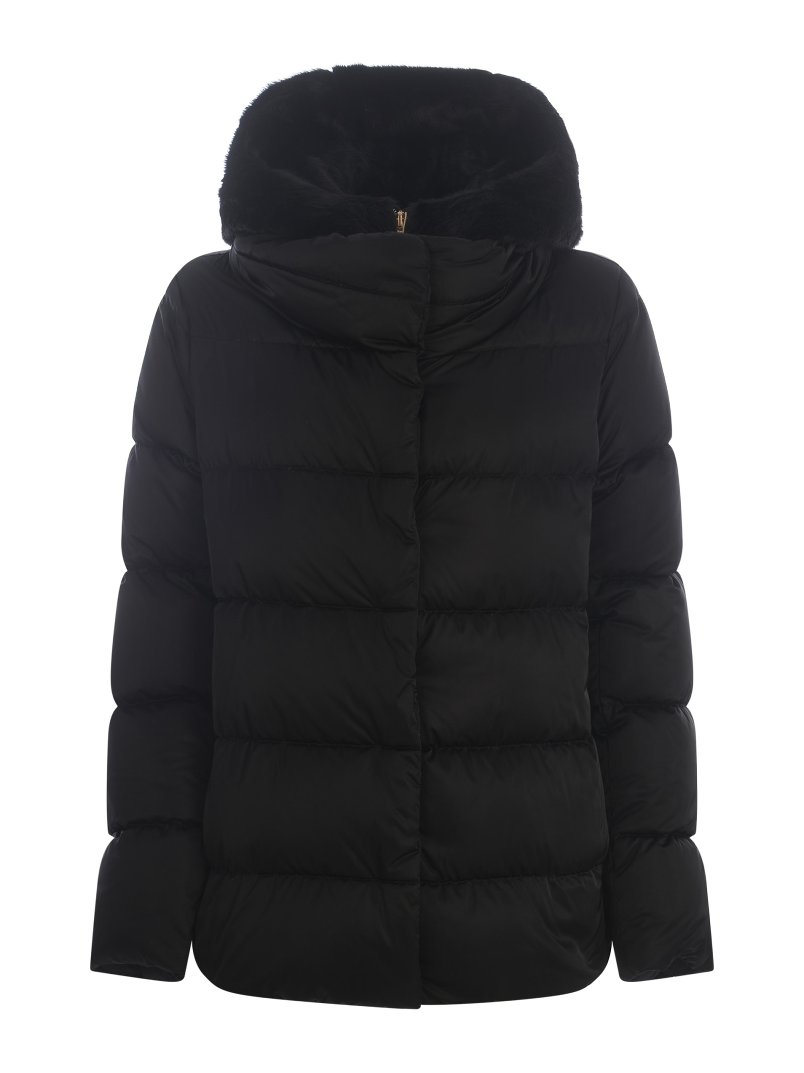 Shop Herno Jacket  Made Of Nylon In Black