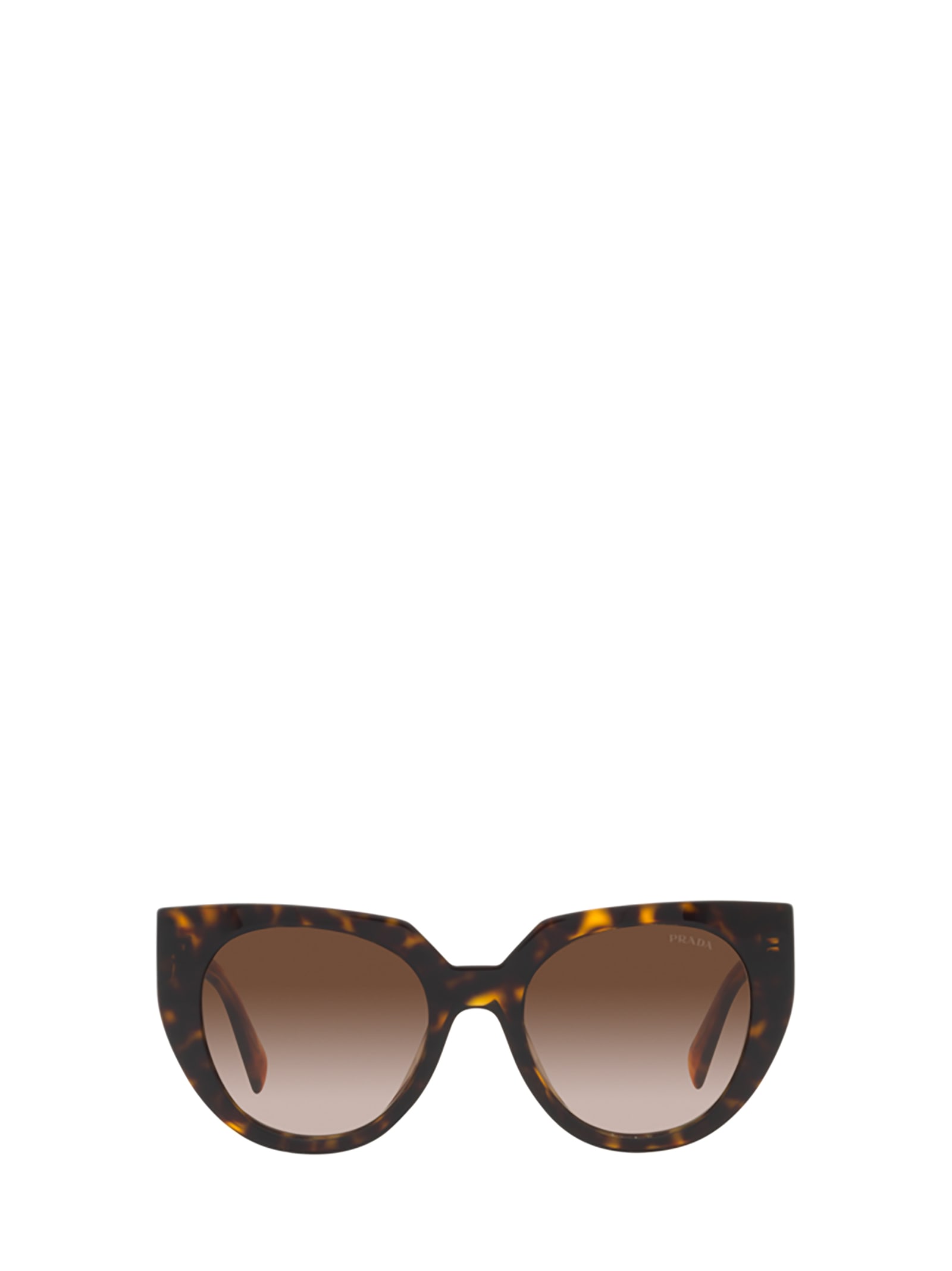 Shop Prada Pr 14ws Tortoise Sunglasses