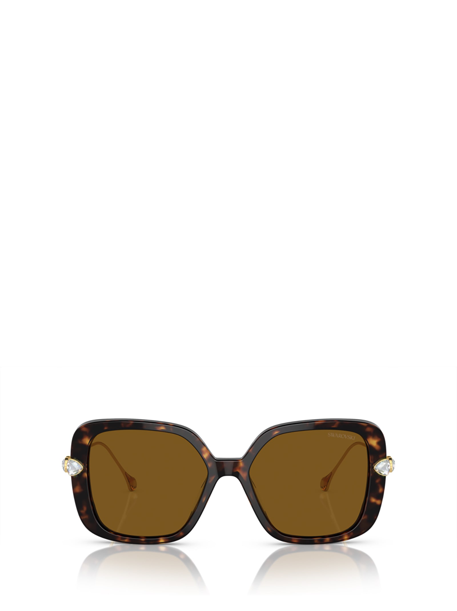 Swarovski Sk6011 Havana Sunglasses