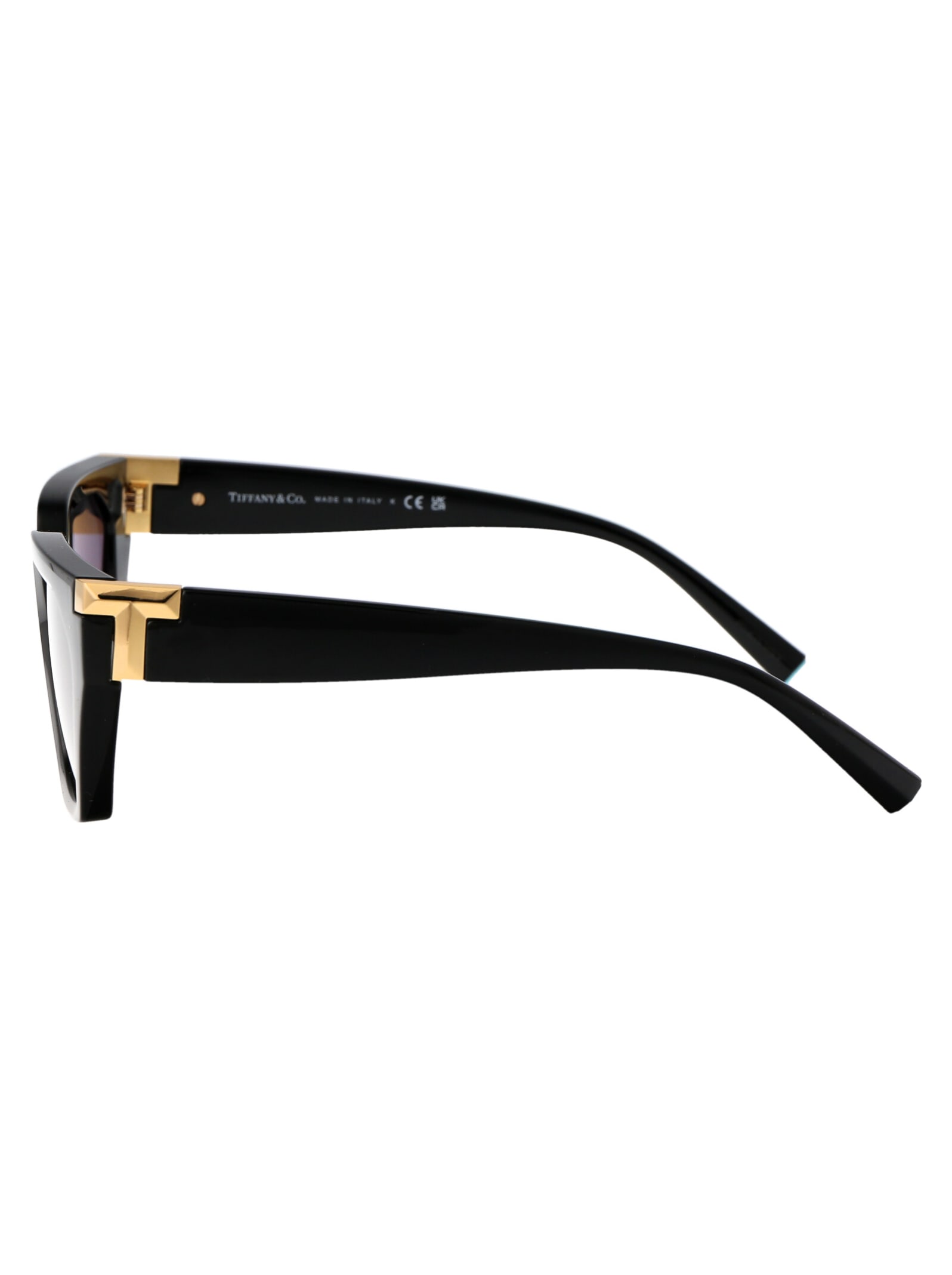 Tiffany &amp; Co. 0tf4205u Sunglasses In Black