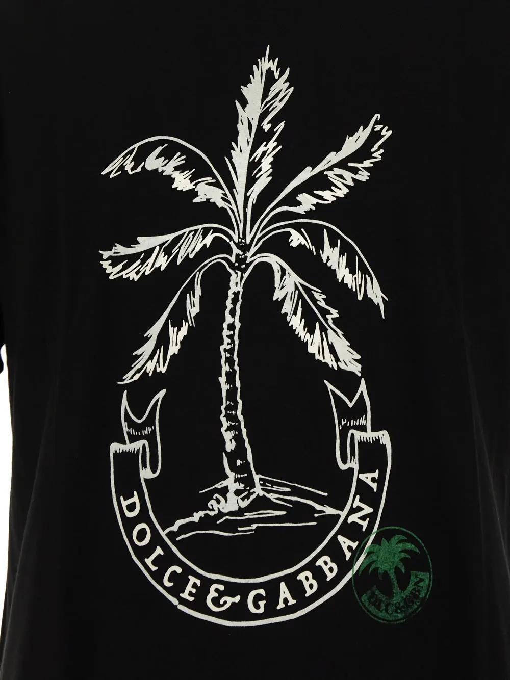 Shop Dolce & Gabbana Cotton T-shirt