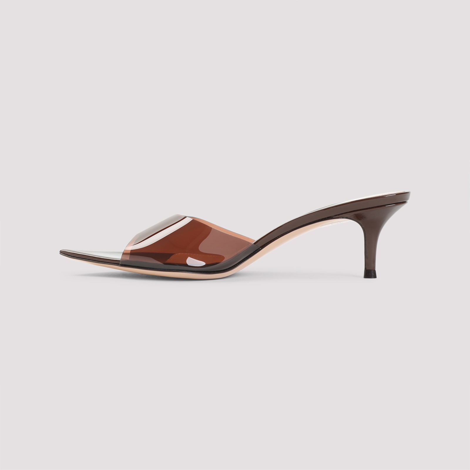 Gianvito Rossi Pointed Toe Mules With Semi-sheer Strap