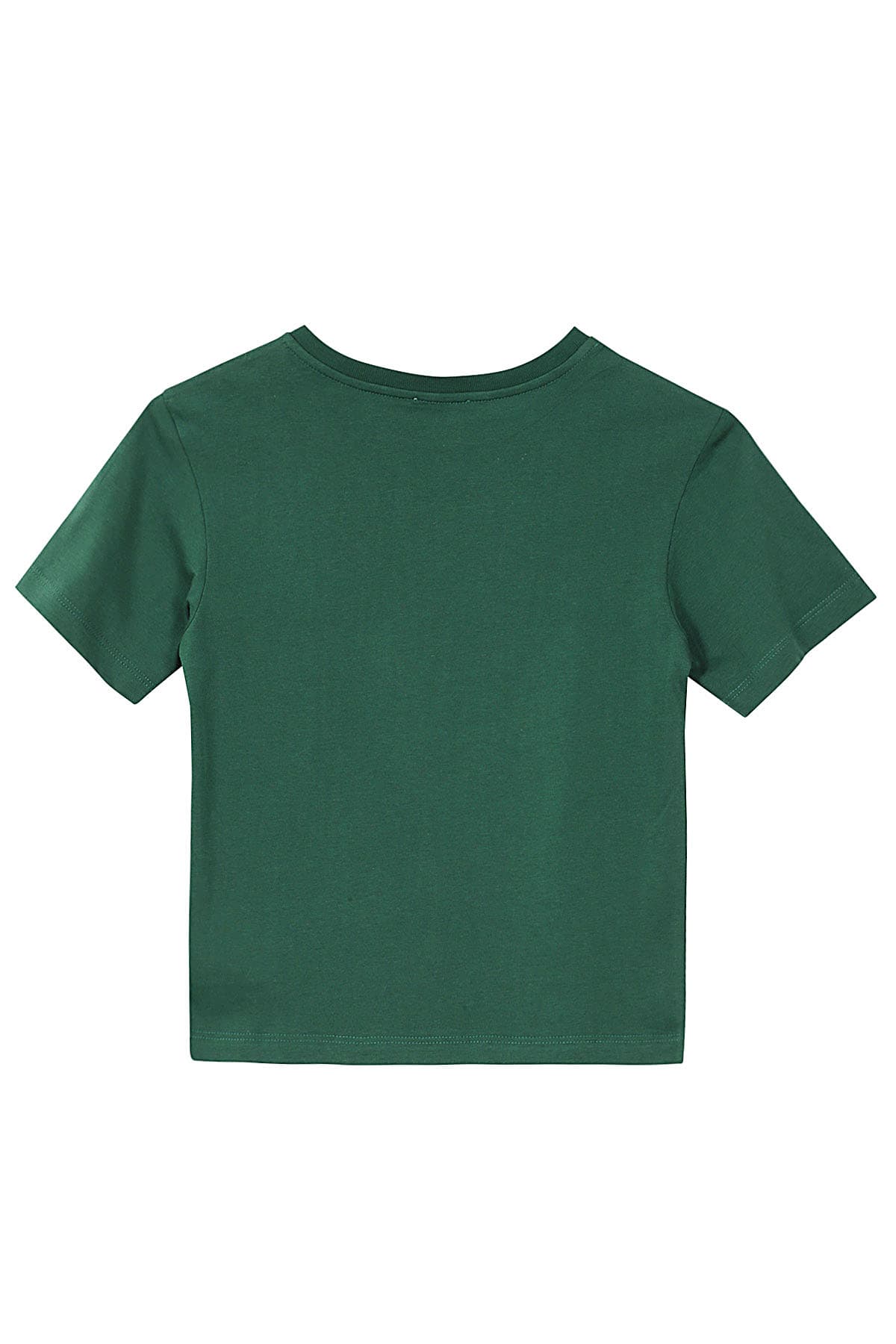 Shop Dolce & Gabbana T Shirt Manica Corta In Verde Muschio Scuro