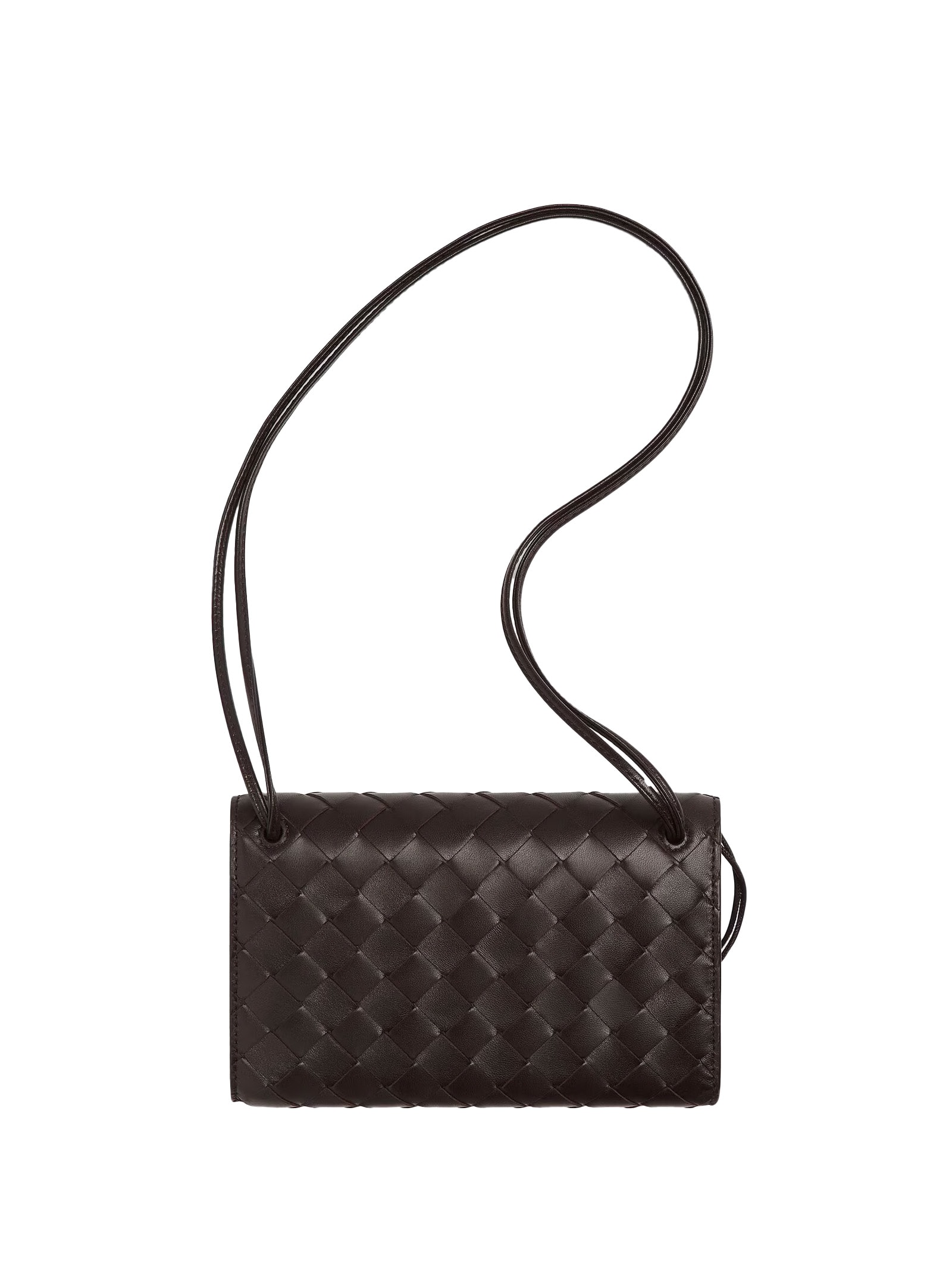 Bottega Veneta Bags.. In Brown