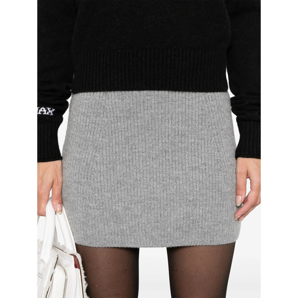 Sportmax Skirt In Gray
