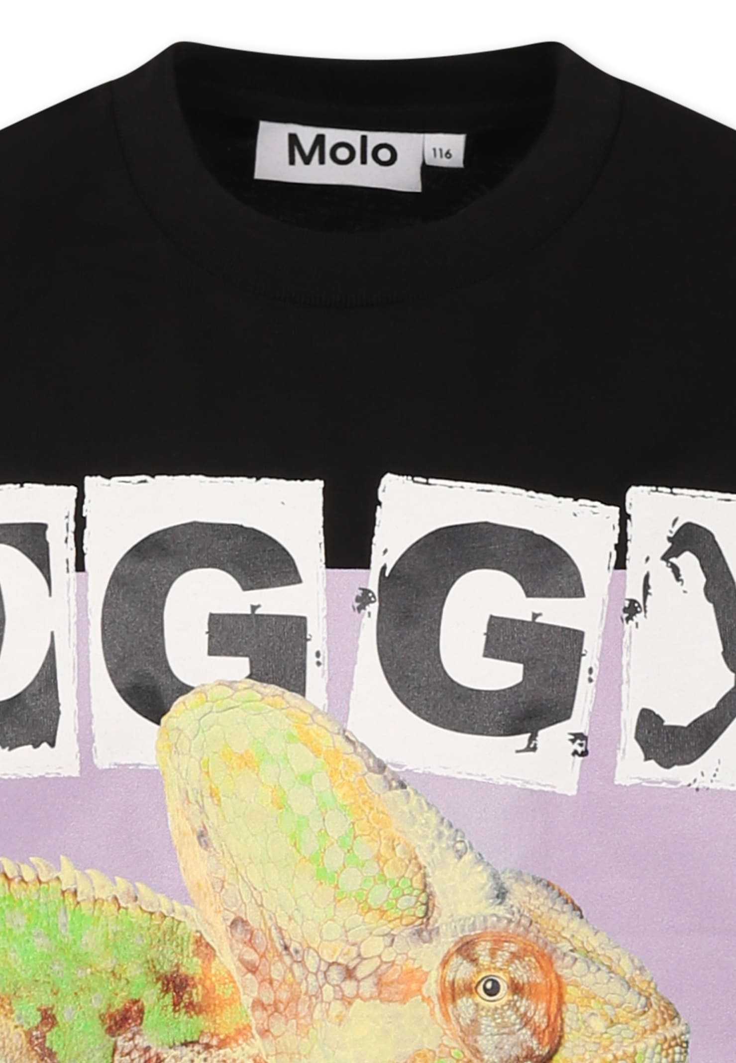 Molo Black T-shirt For Kids With Chameleon In Black