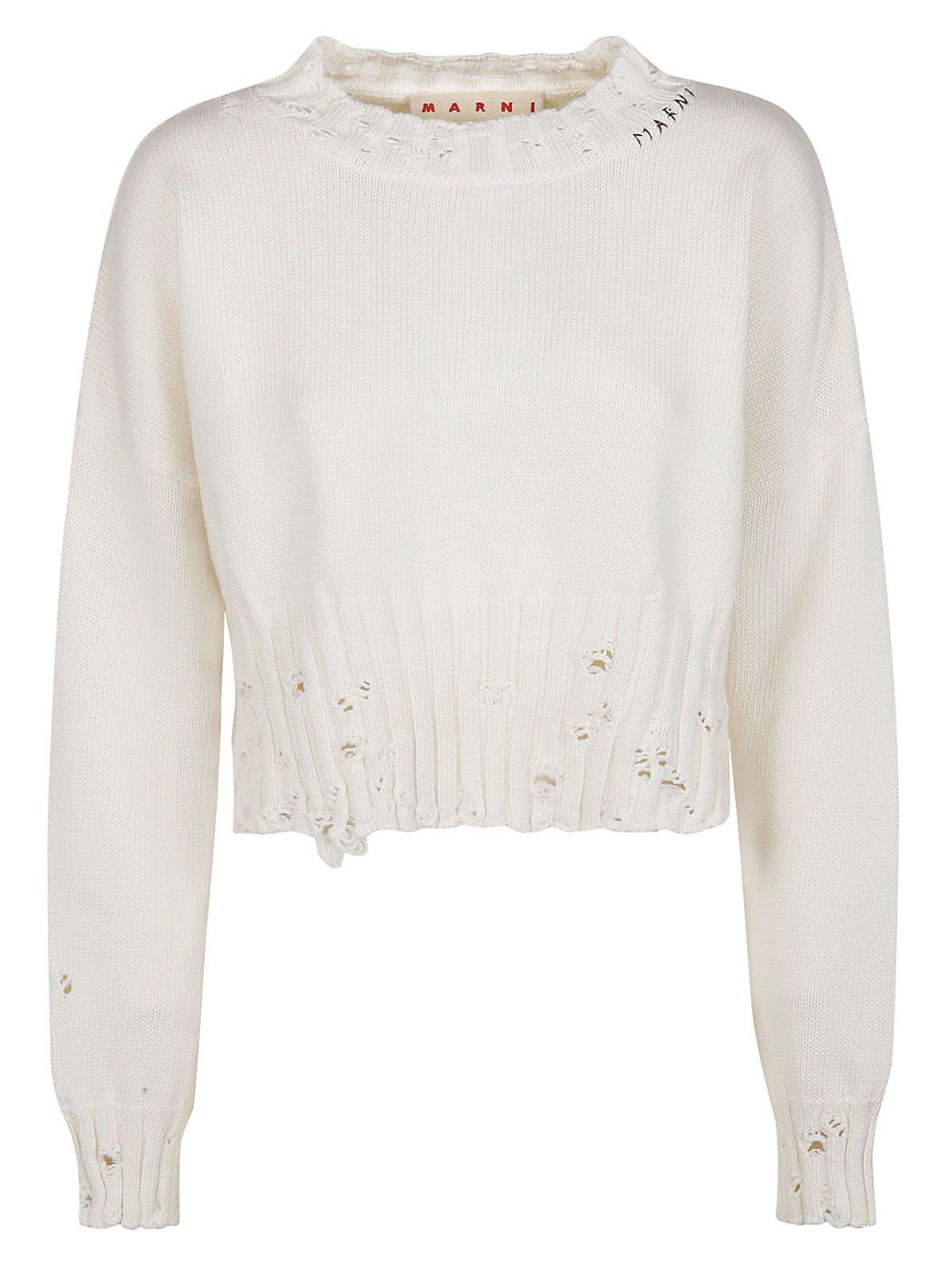 Shop Marni Distressed Cropped Knitted Jumper In White