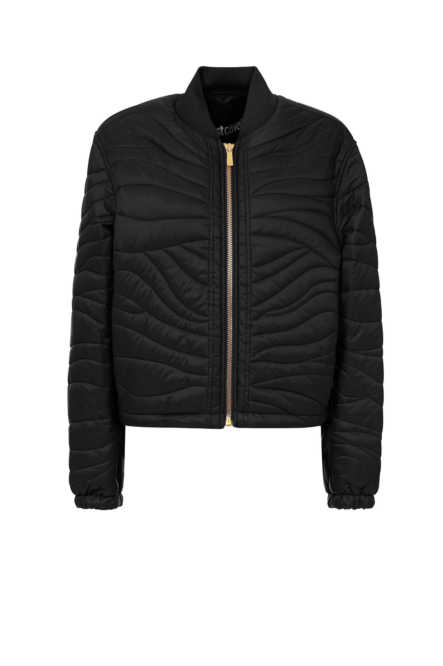 Roberto Cavalli Just Cavalli Down Jacket In Blue