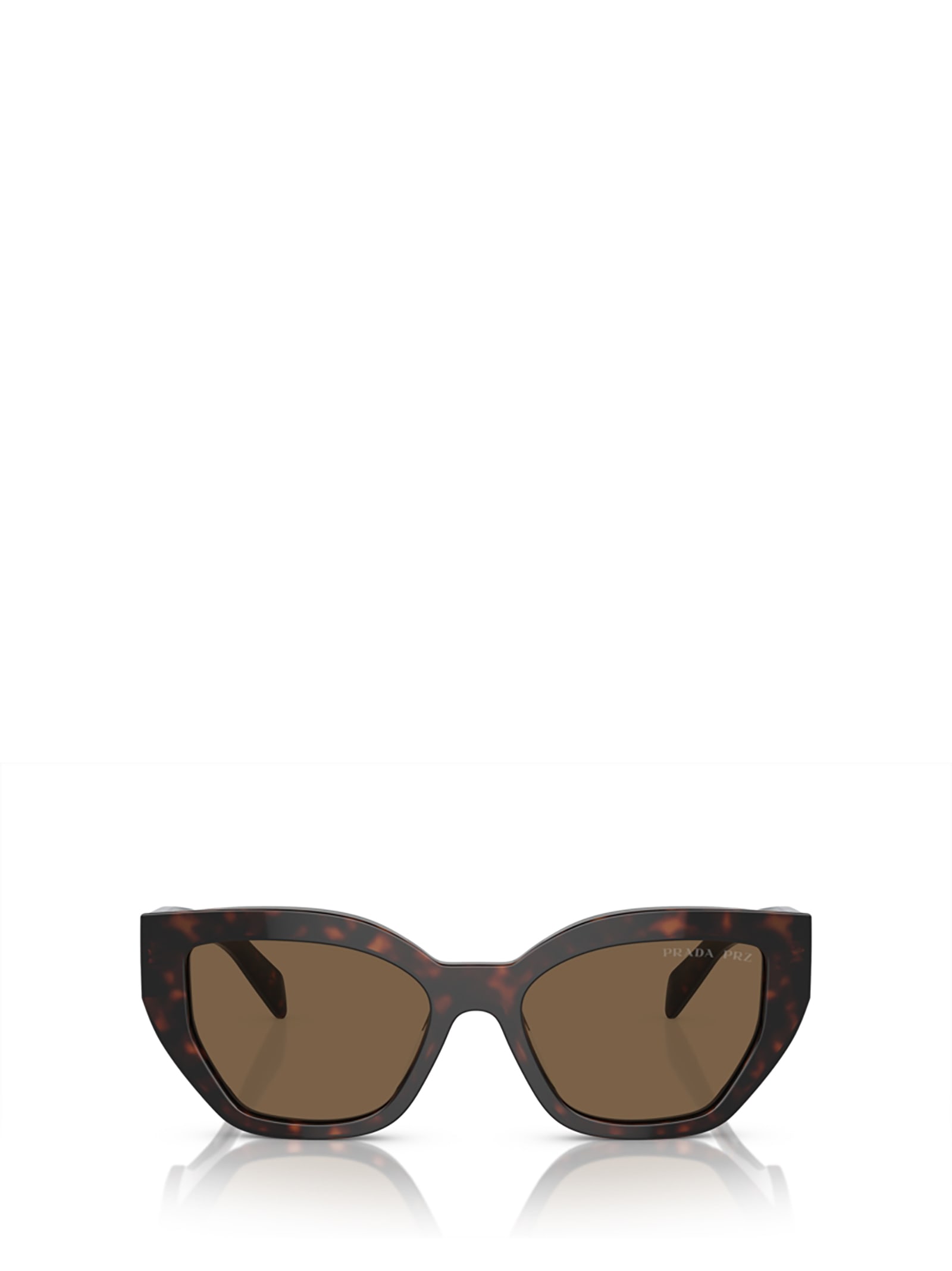 Shop Prada Pr A09s Briar Tortoise Sunglasses