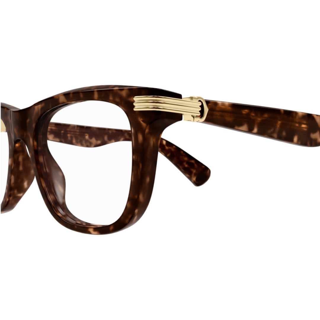 Cartier Ct0558o007 Havana Havana Transpa In Transparent