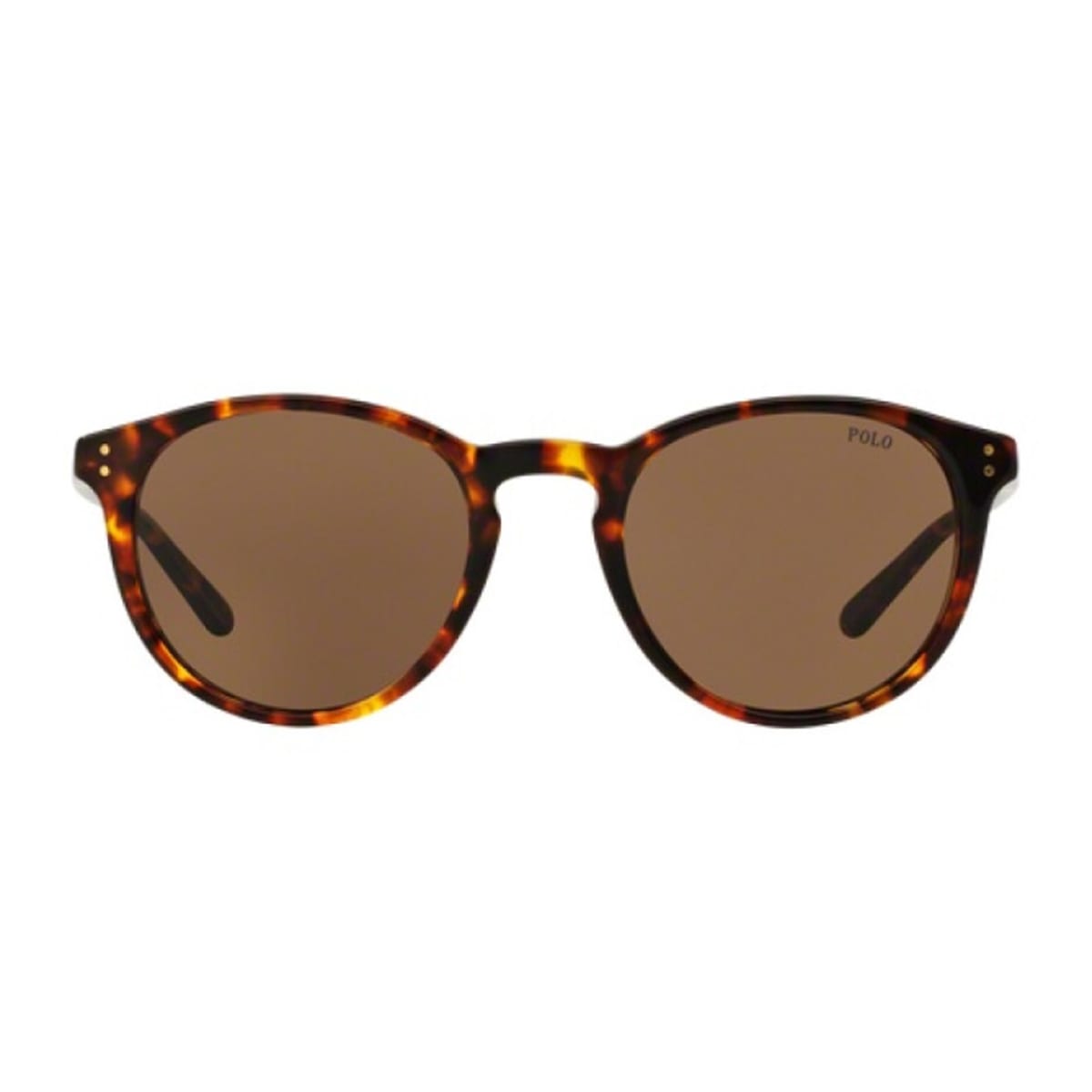 Ph4110 513473 Havana Sunglasses