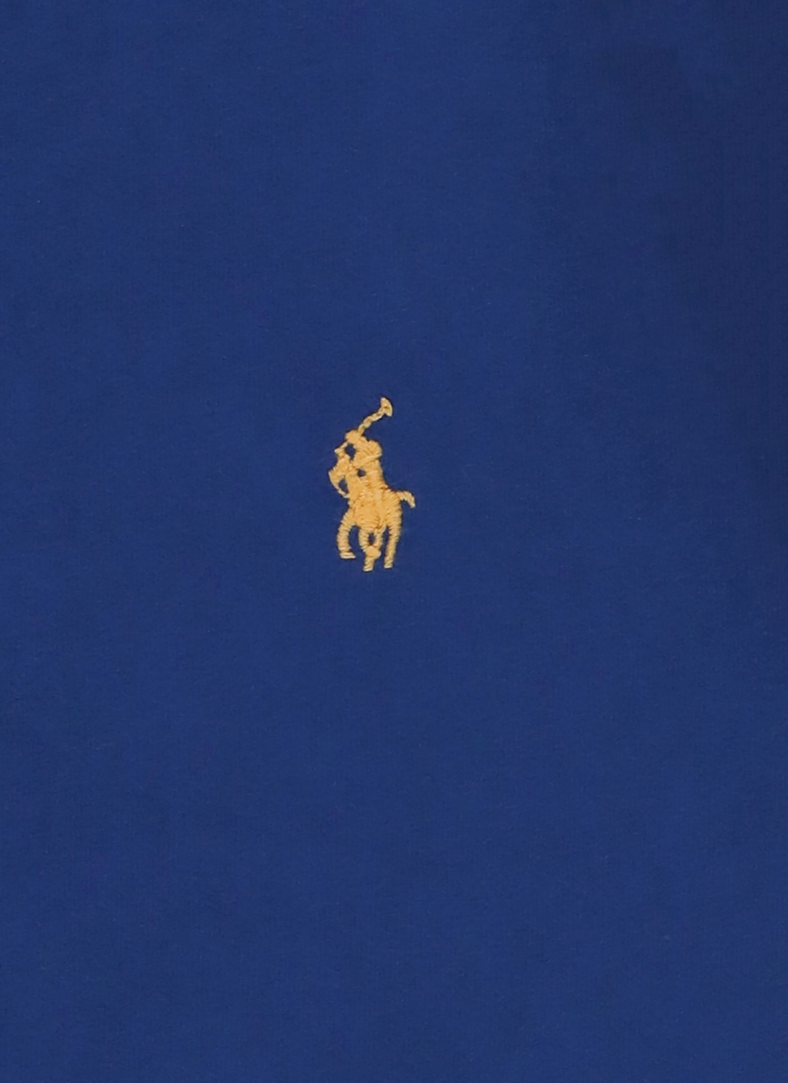 Ralph Lauren Pony T-shirt In Blue