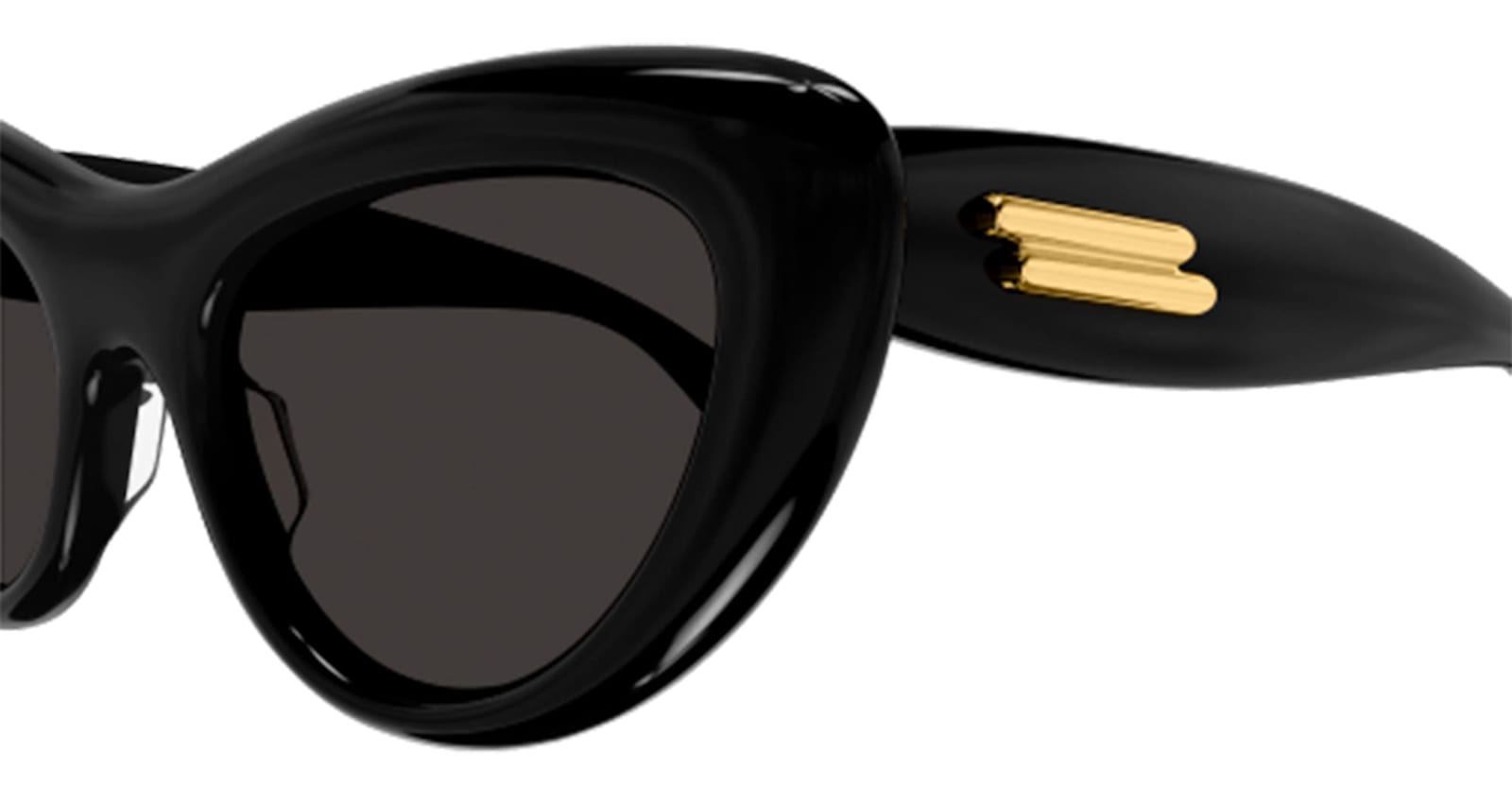Bottega Veneta Curvy Acetate Cat-eye Sunglasses In Black