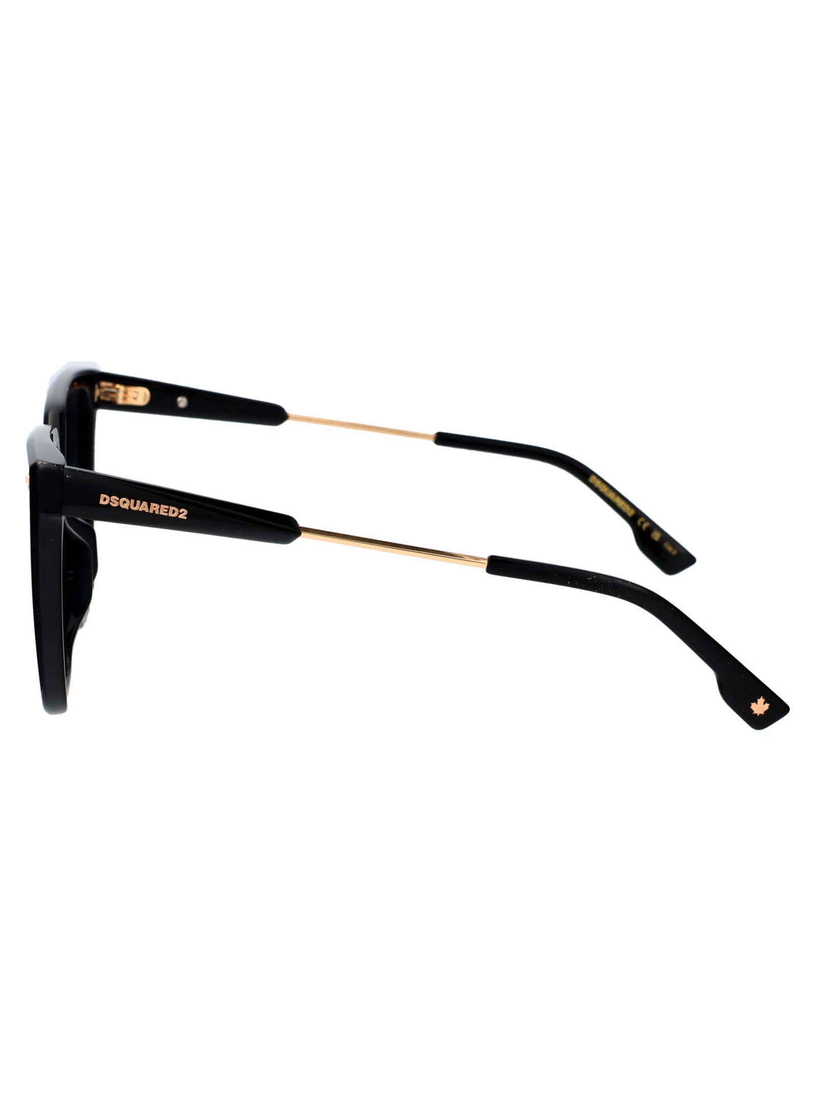 Dsquared2 D2 0135/s Sunglasses In Black