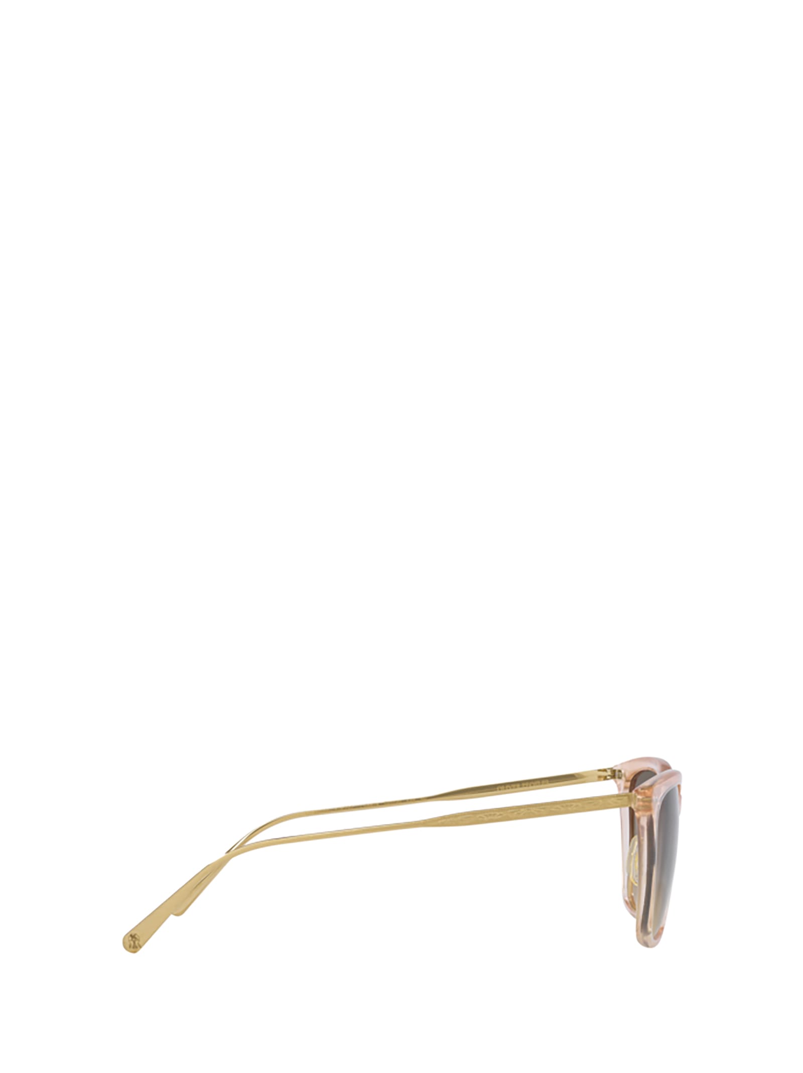 Shop Oliver Peoples Ov5516s Cipria / Brushed Gold Sunglasses