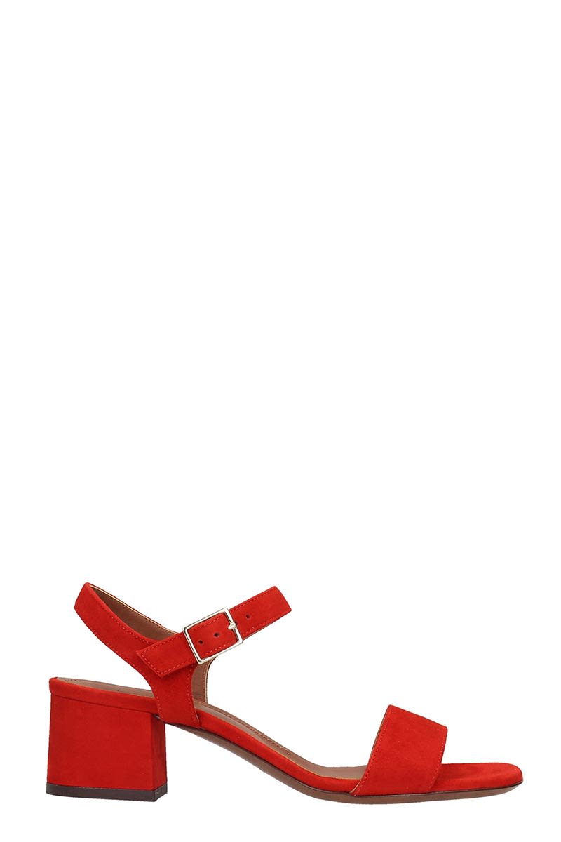 L'AUTRE CHOSE SANDALS IN RED SUEDE,11241604