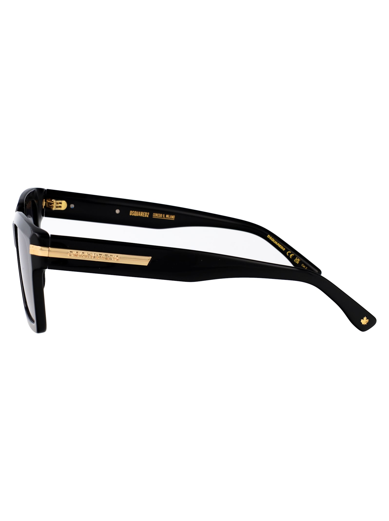 Dsquared2 D2 0161/g/s Sunglasses In Black
