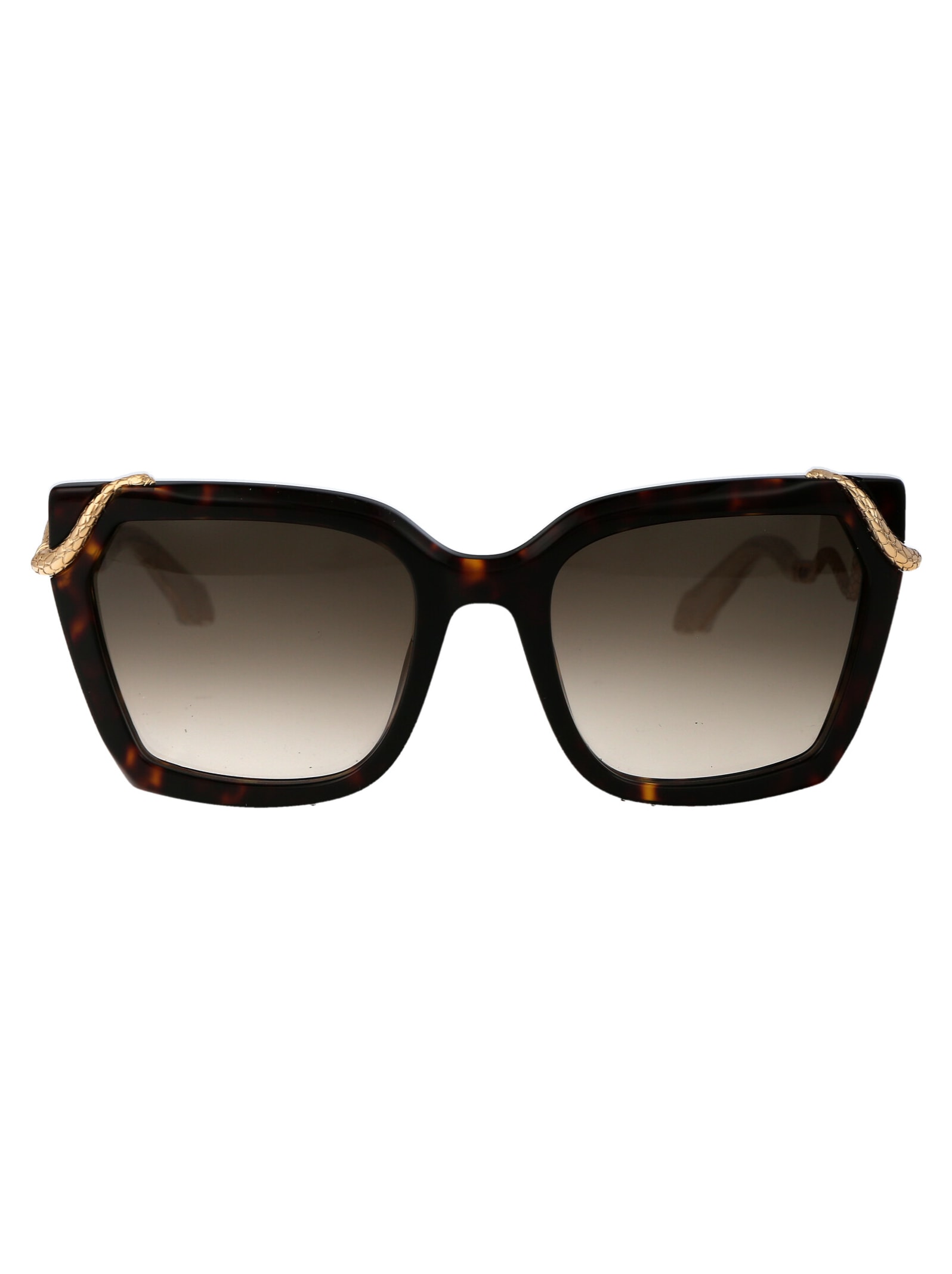 Shop Roberto Cavalli Src034m Sunglasses In 0743 Brown