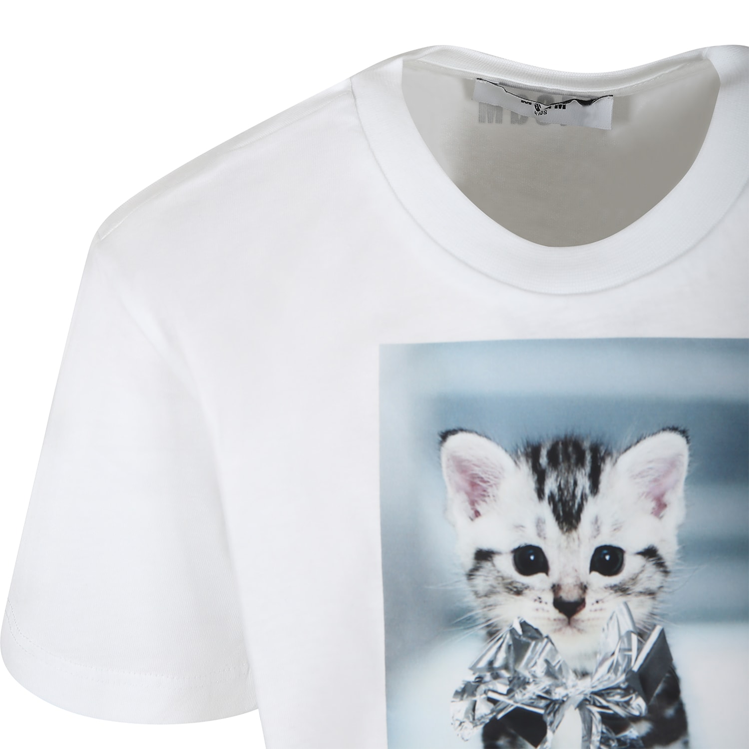 Shop Msgm White Crop T-shirt For Girl With Cat Print And Logo