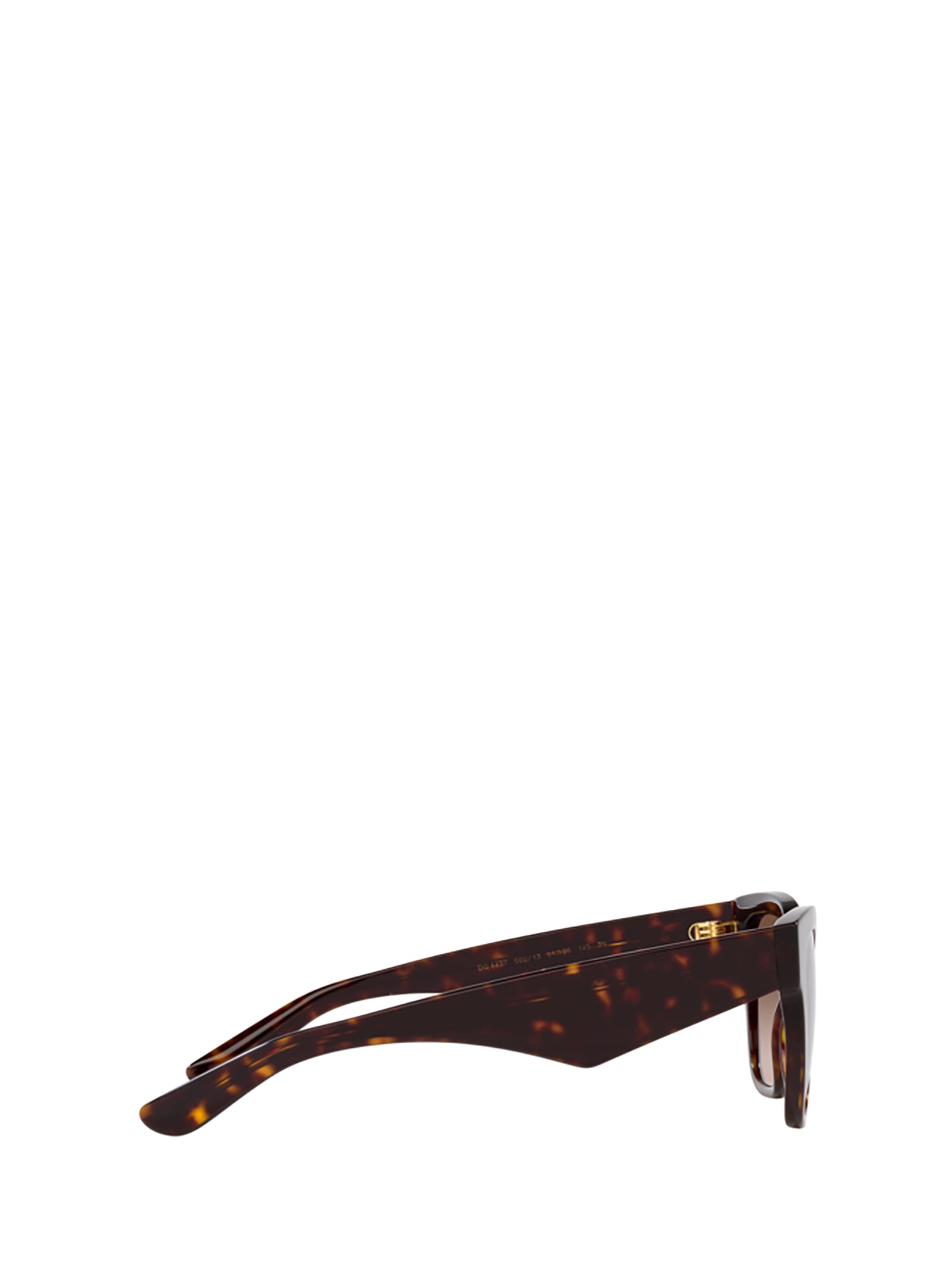 Shop Dolce &amp; Gabbana Eyewear Dg4437 Havana Sunglasses