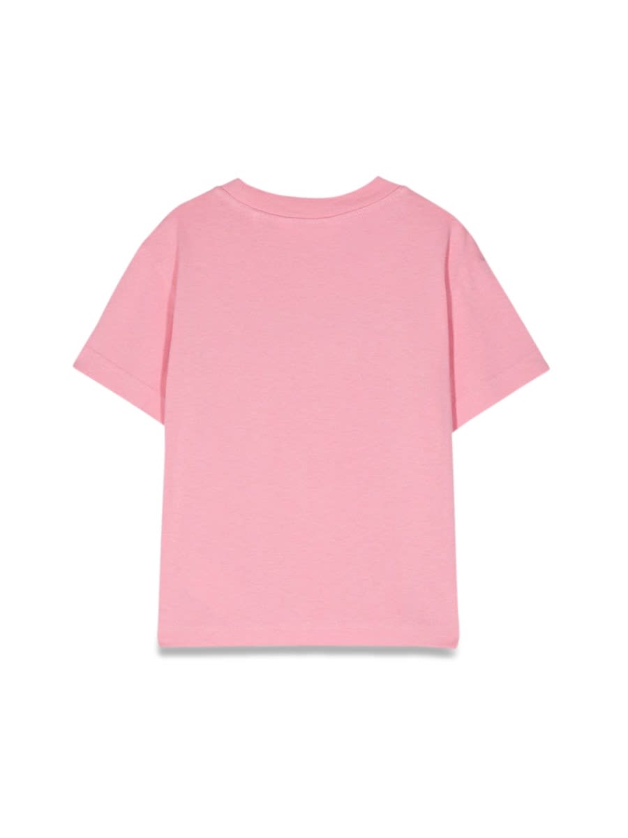 Shop Palm Angels Pa Bear Angel Reg.t-shirt In Pink