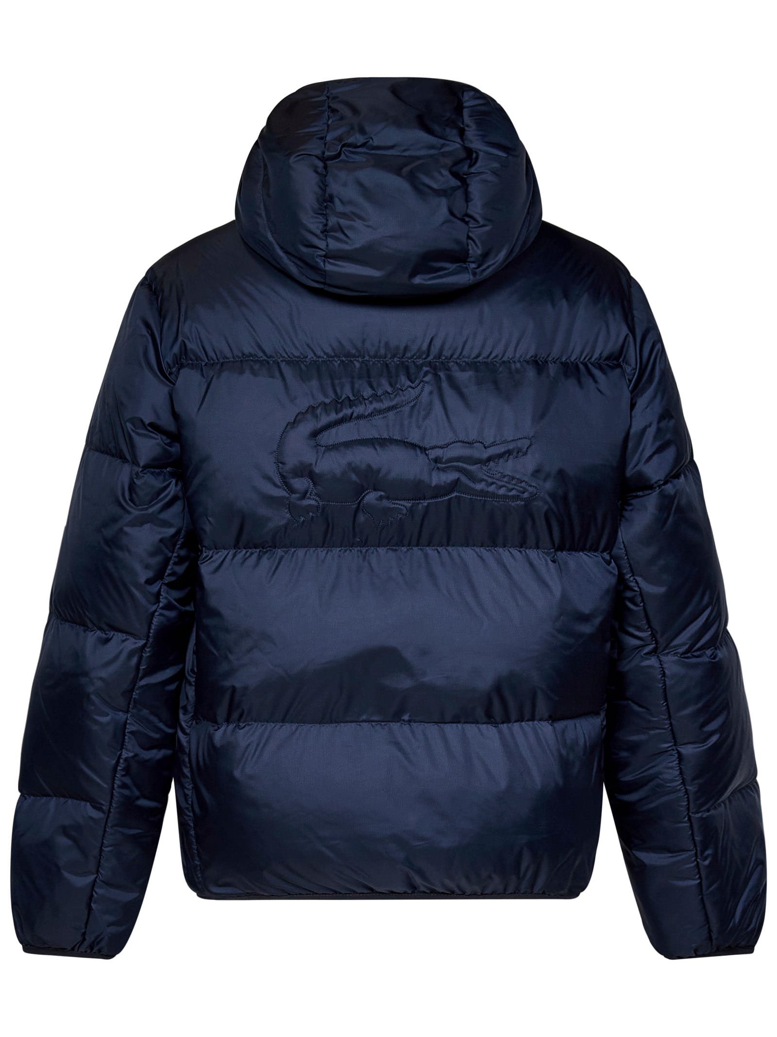 Shop Lacoste Down Jacket In Blue