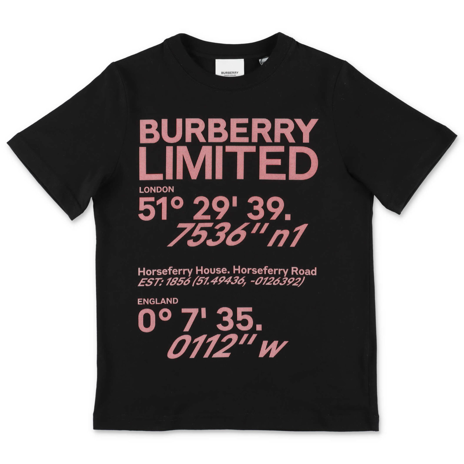BURBERRY T-SHIRT,8038666A1189