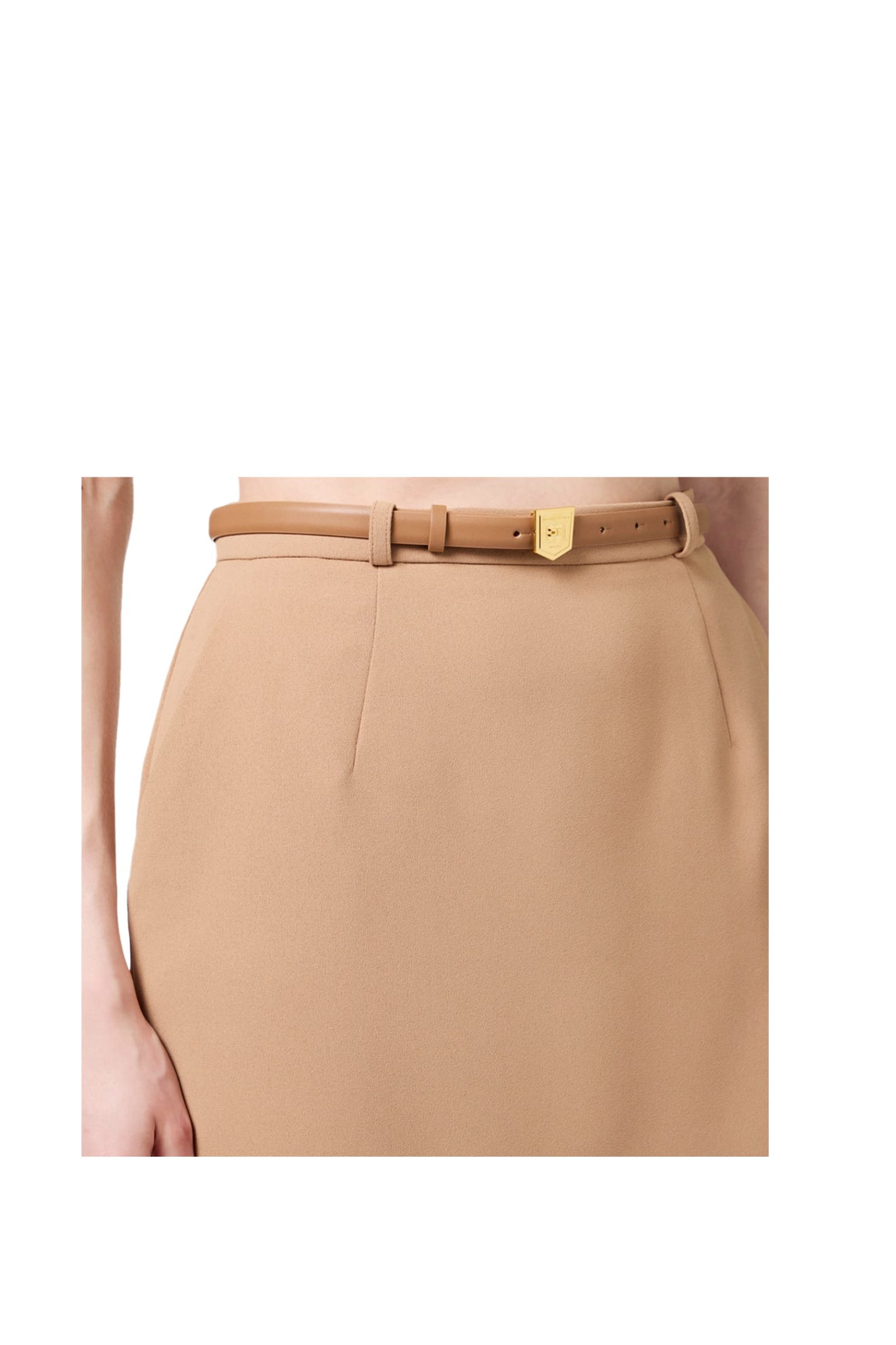 Shop Elisabetta Franchi Skirt In Camel