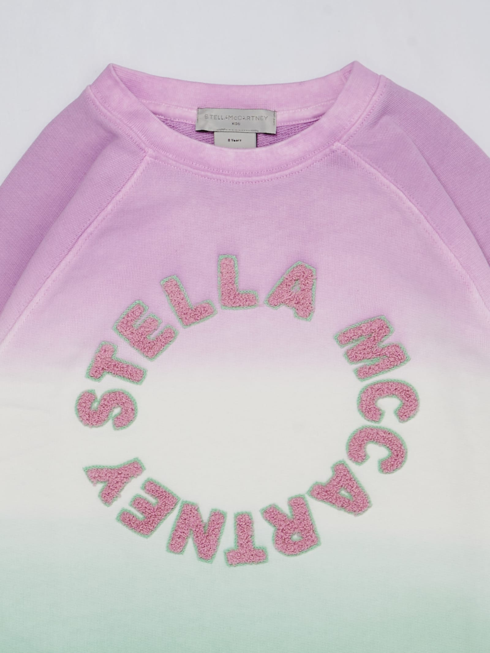 Shop Stella Mccartney Sweatshirt Sweatshirt In Verde-glicine