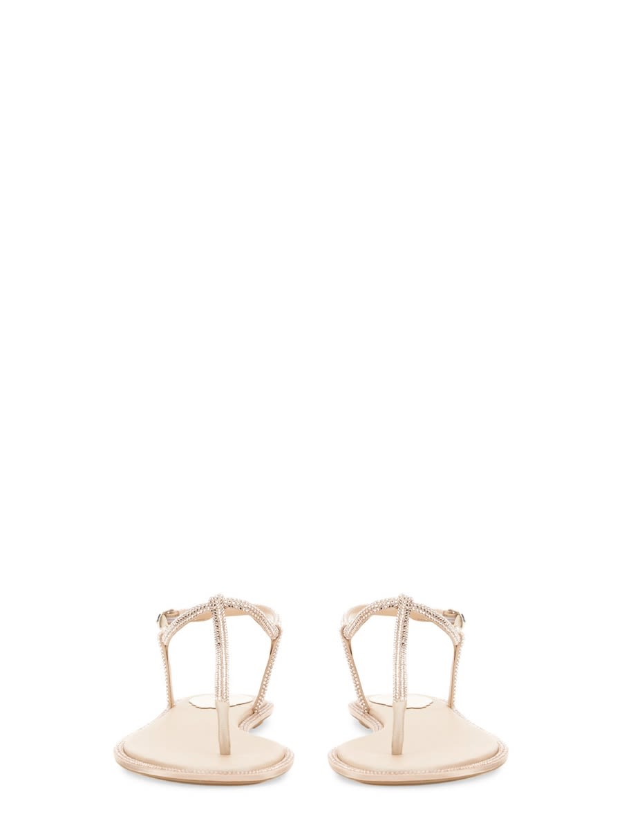 Shop René Caovilla Sandal Diana In Powder