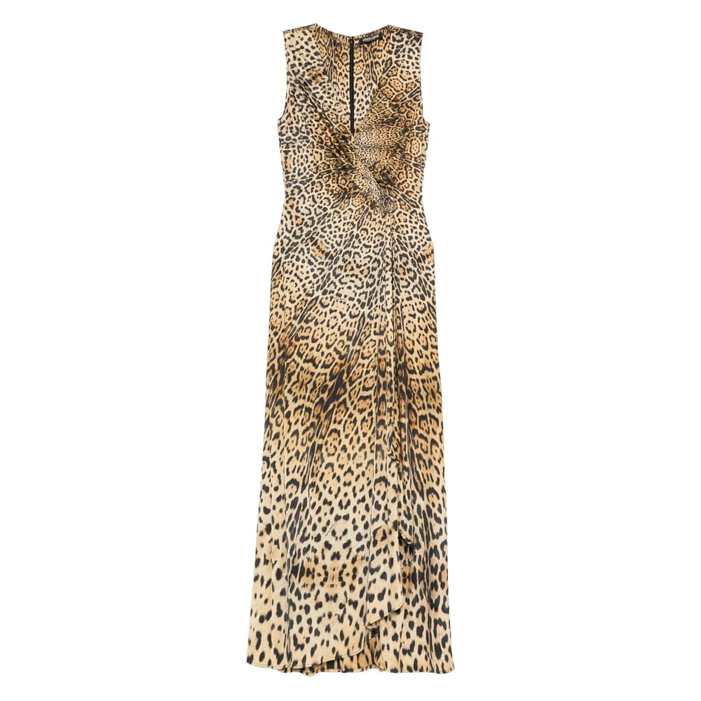 Roberto Cavalli Long Dress With Jaguar Skin Print In Brown